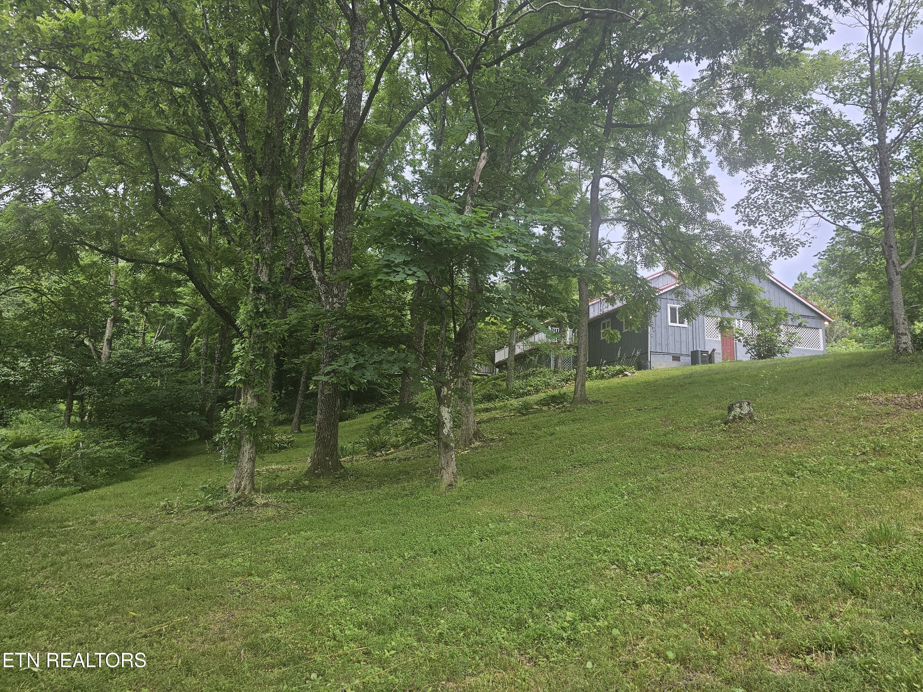 925 Tweed Springs Road Greeneville TN 37743