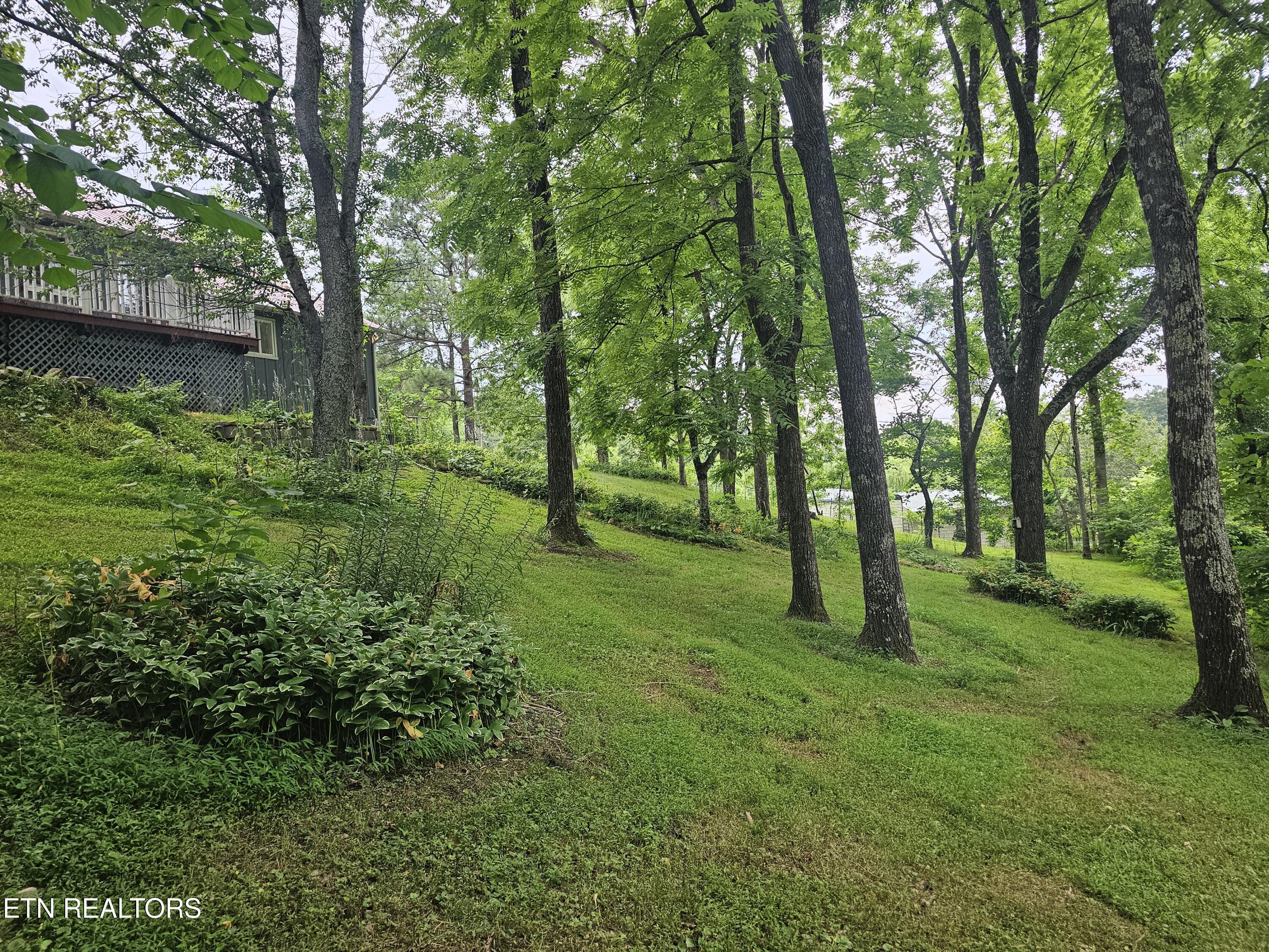 925 Tweed Springs Road Greeneville TN 37743