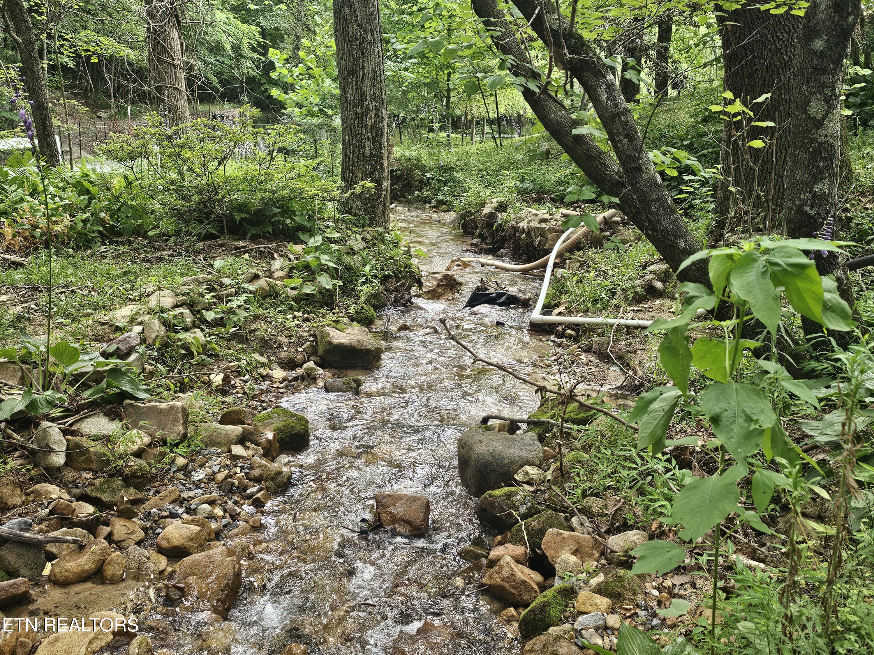 925 Tweed Springs Road Greeneville TN 37743