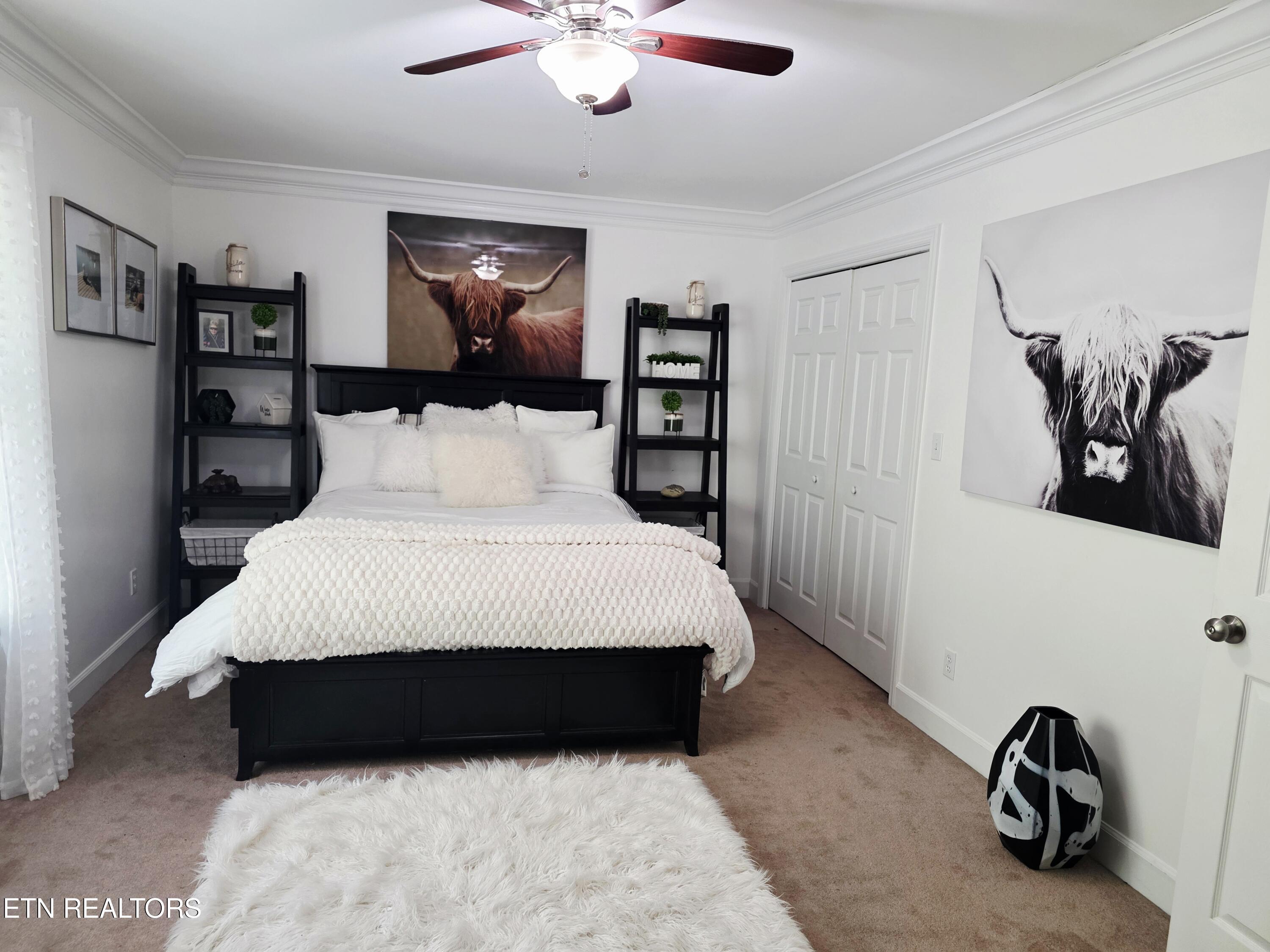15 Radisson Cove Oak Ridge TN 37830
