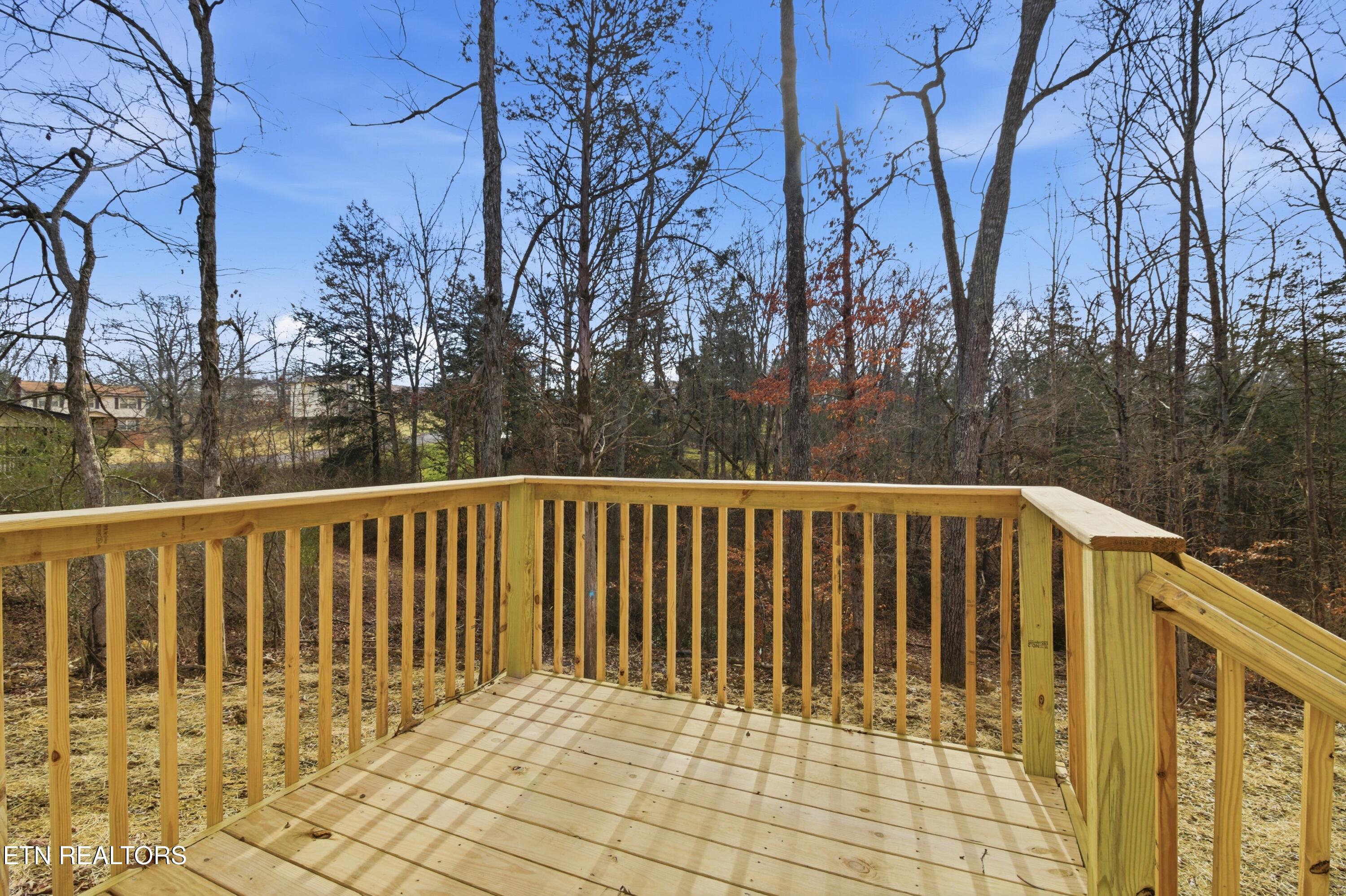 7314 Beechleaf Road Knoxville TN 37924
