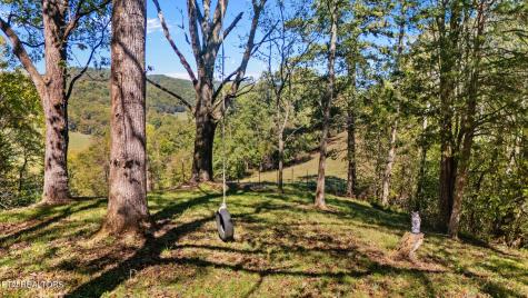 259 Little Tater Valley Road Luttrell TN 37779