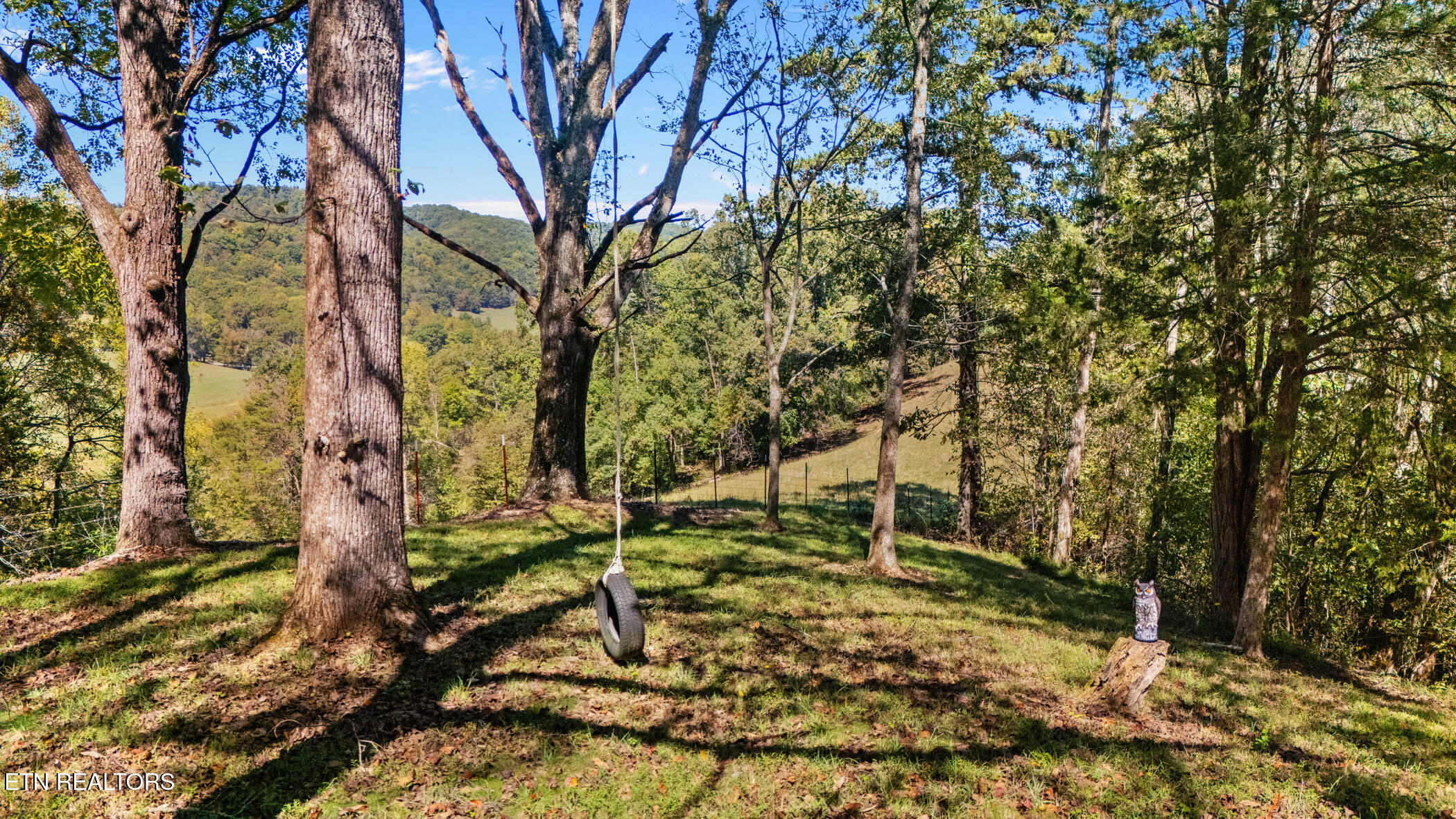 259 Little Tater Valley Road Luttrell TN 37779