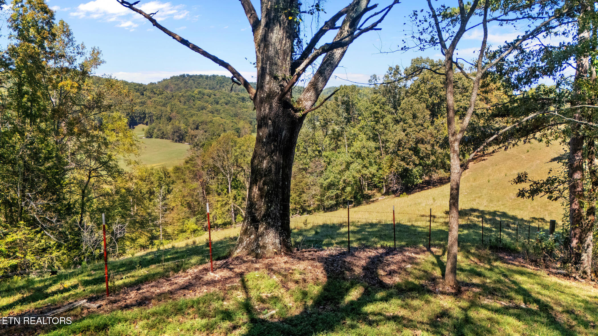259 Little Tater Valley Road Luttrell TN 37779
