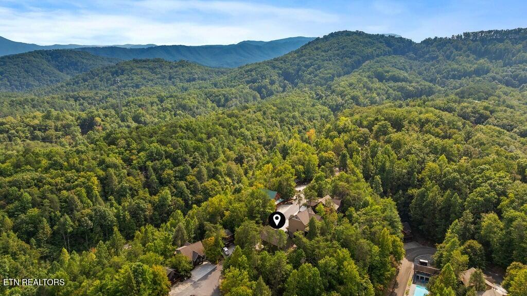 3504 Sand Ridge Way Pigeon Forge TN 37863