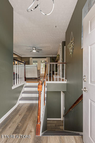 4317 Raj Road Knoxville TN 37921