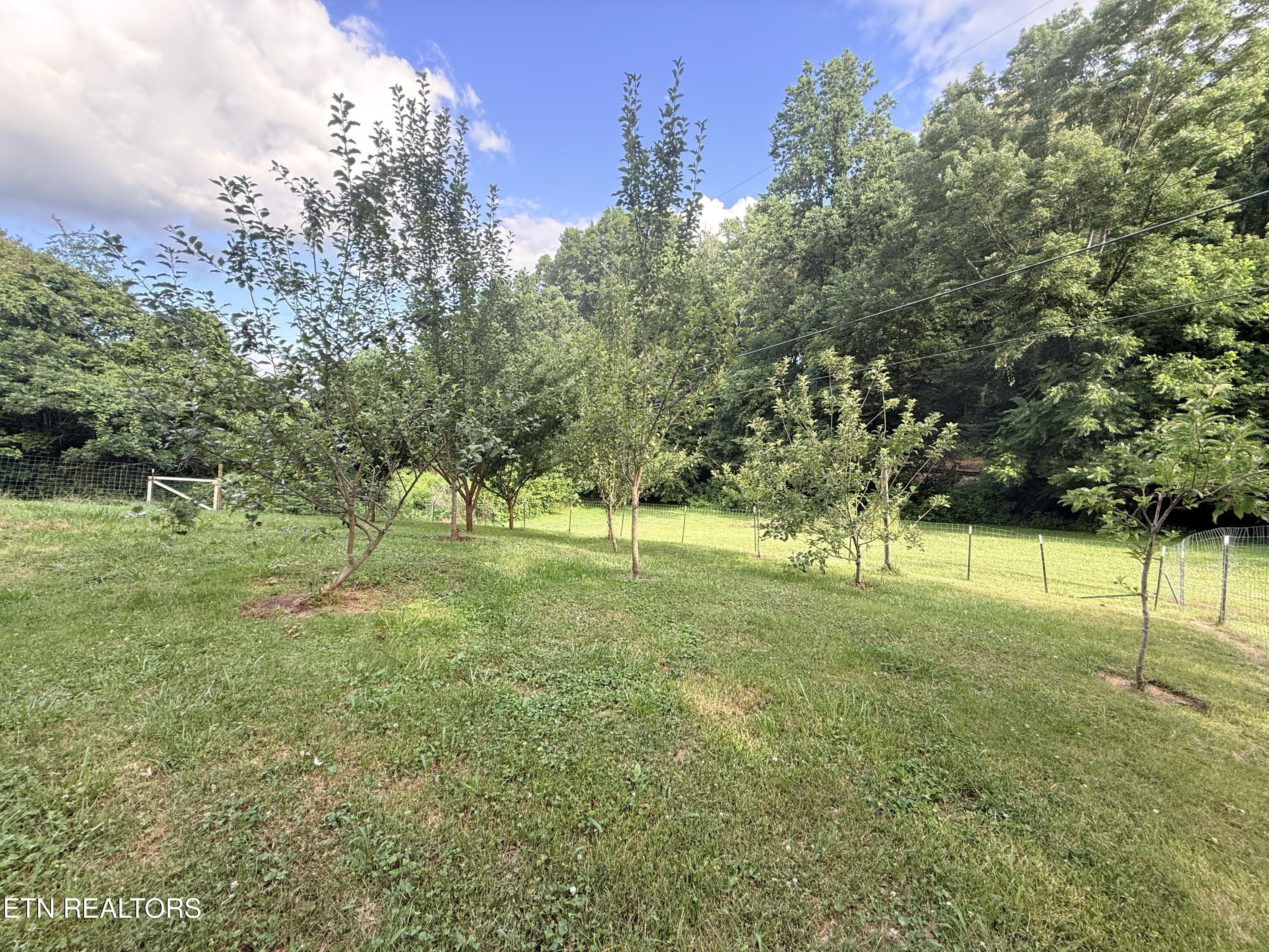 713 Robin Drive New Tazewell TN 37825