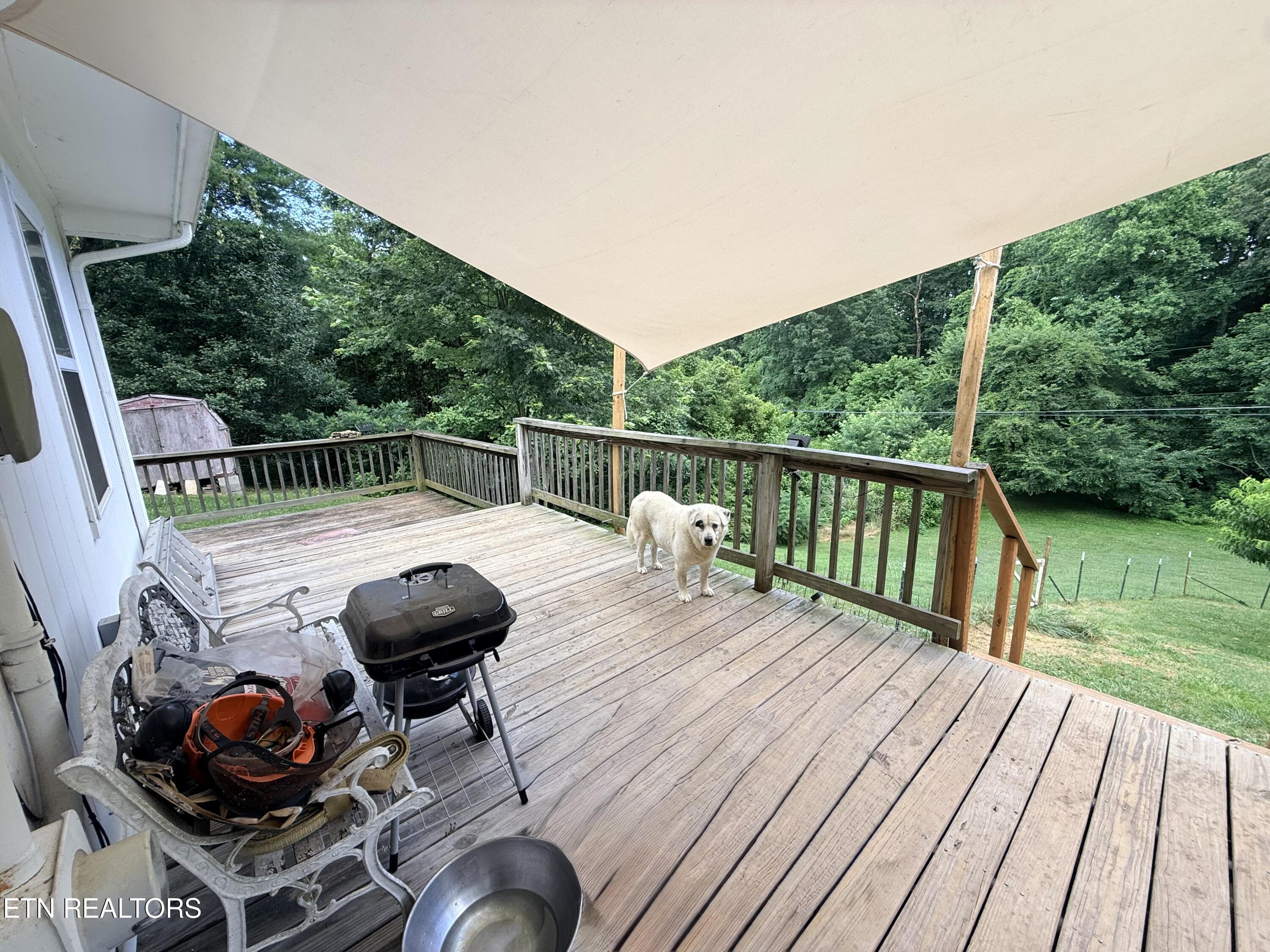 713 Robin Drive New Tazewell TN 37825