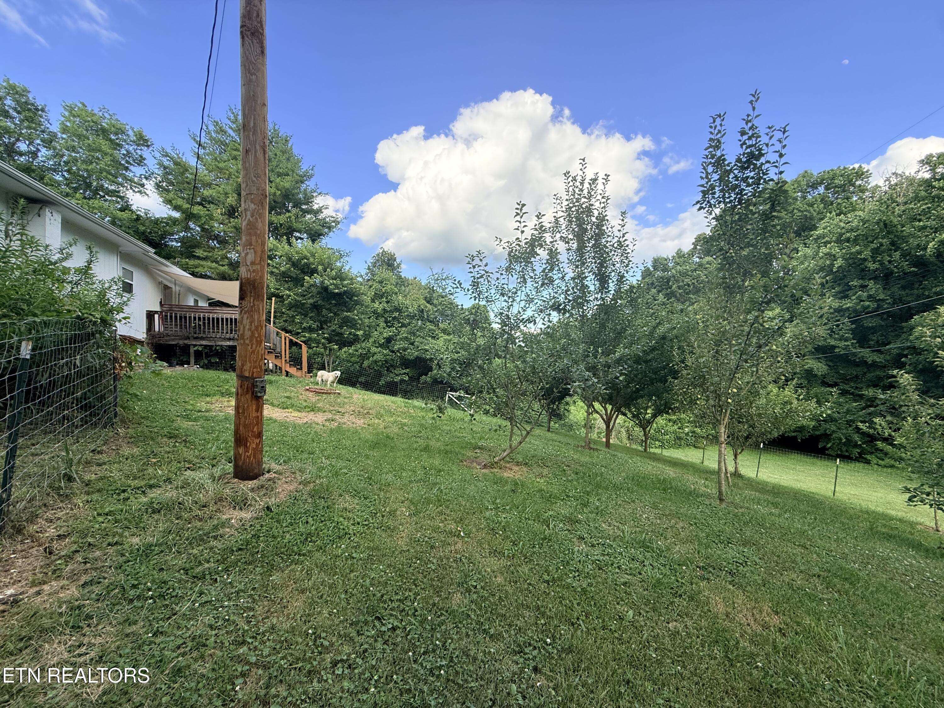 713 Robin Drive New Tazewell TN 37825