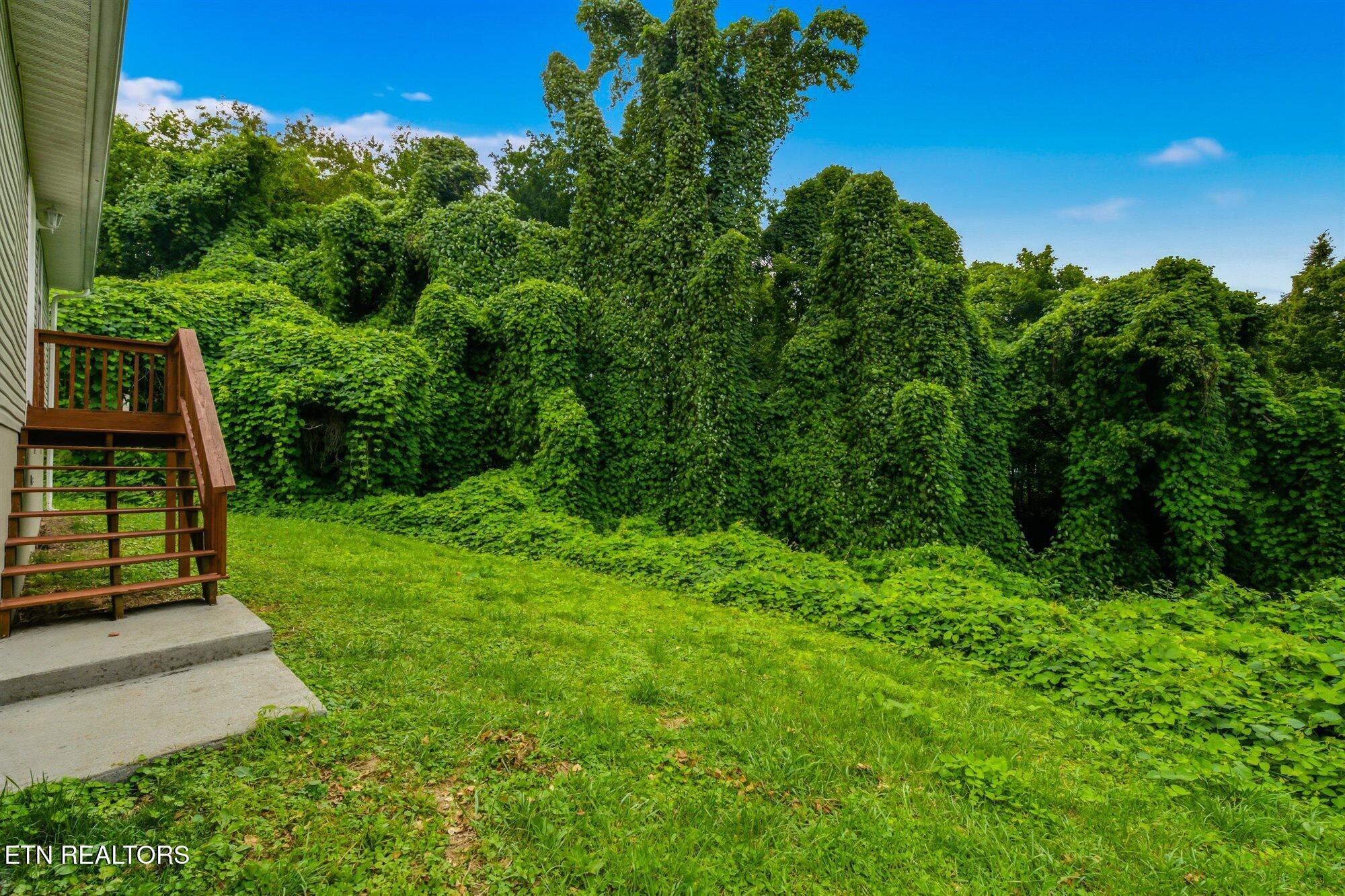 809 Valley Drive Knoxville TN 37920