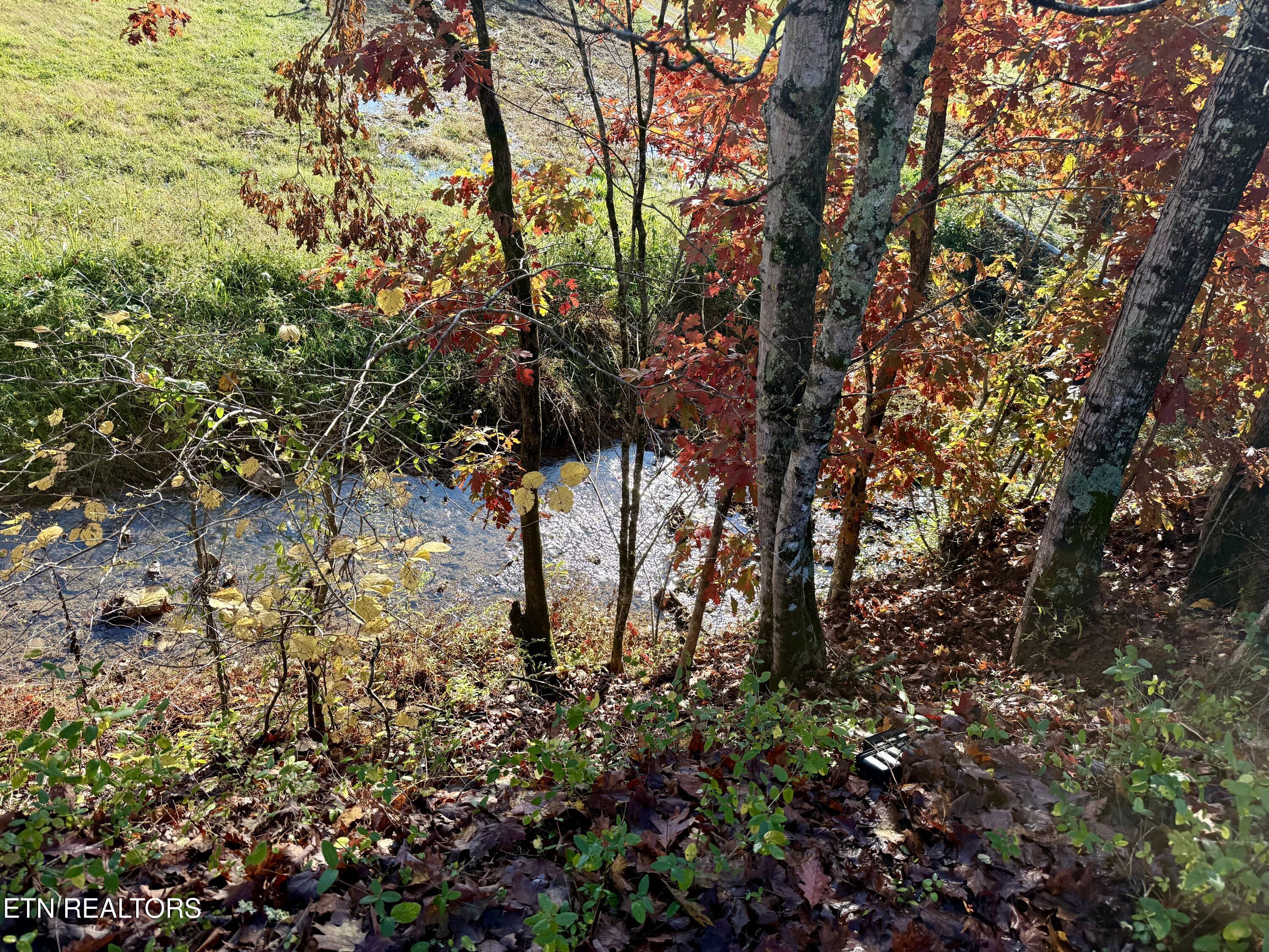 186 Drinnon Lane Sneedville TN 37869