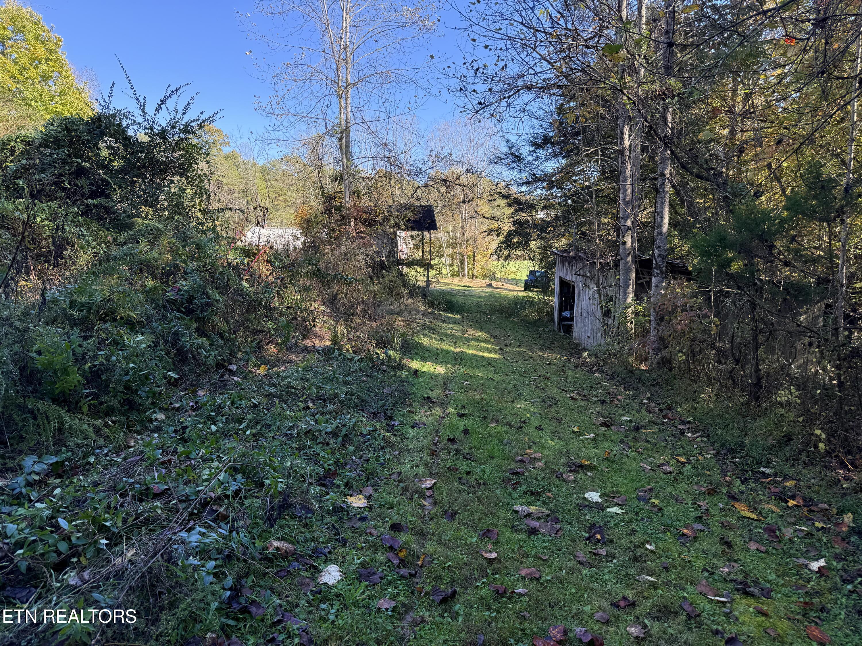 186 Drinnon Lane Sneedville TN 37869