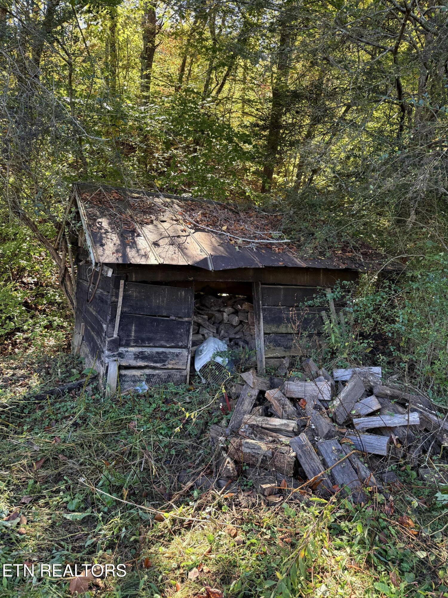 186 Drinnon Lane Sneedville TN 37869