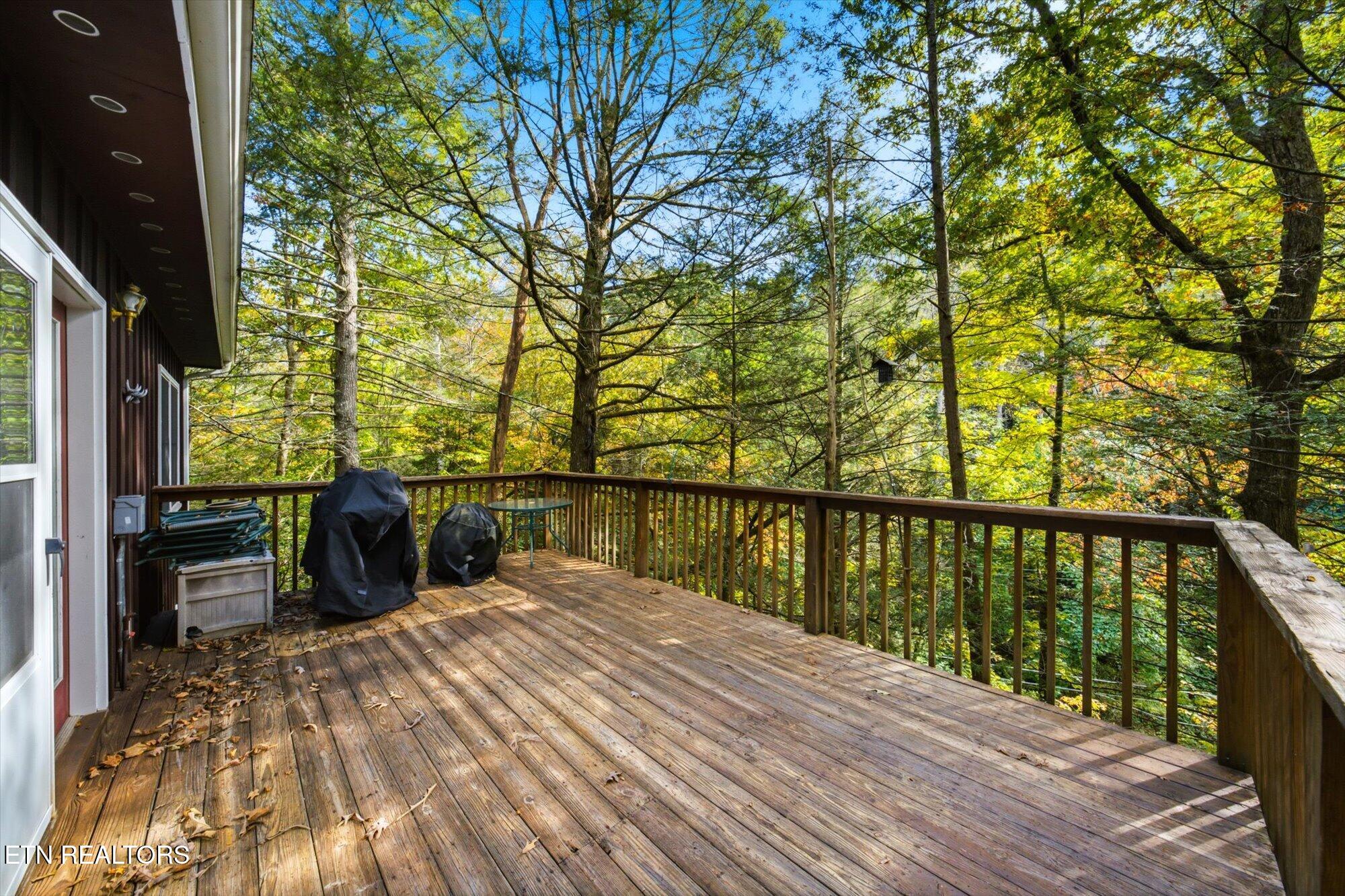 204 Stott Lane Gatlinburg TN 37738