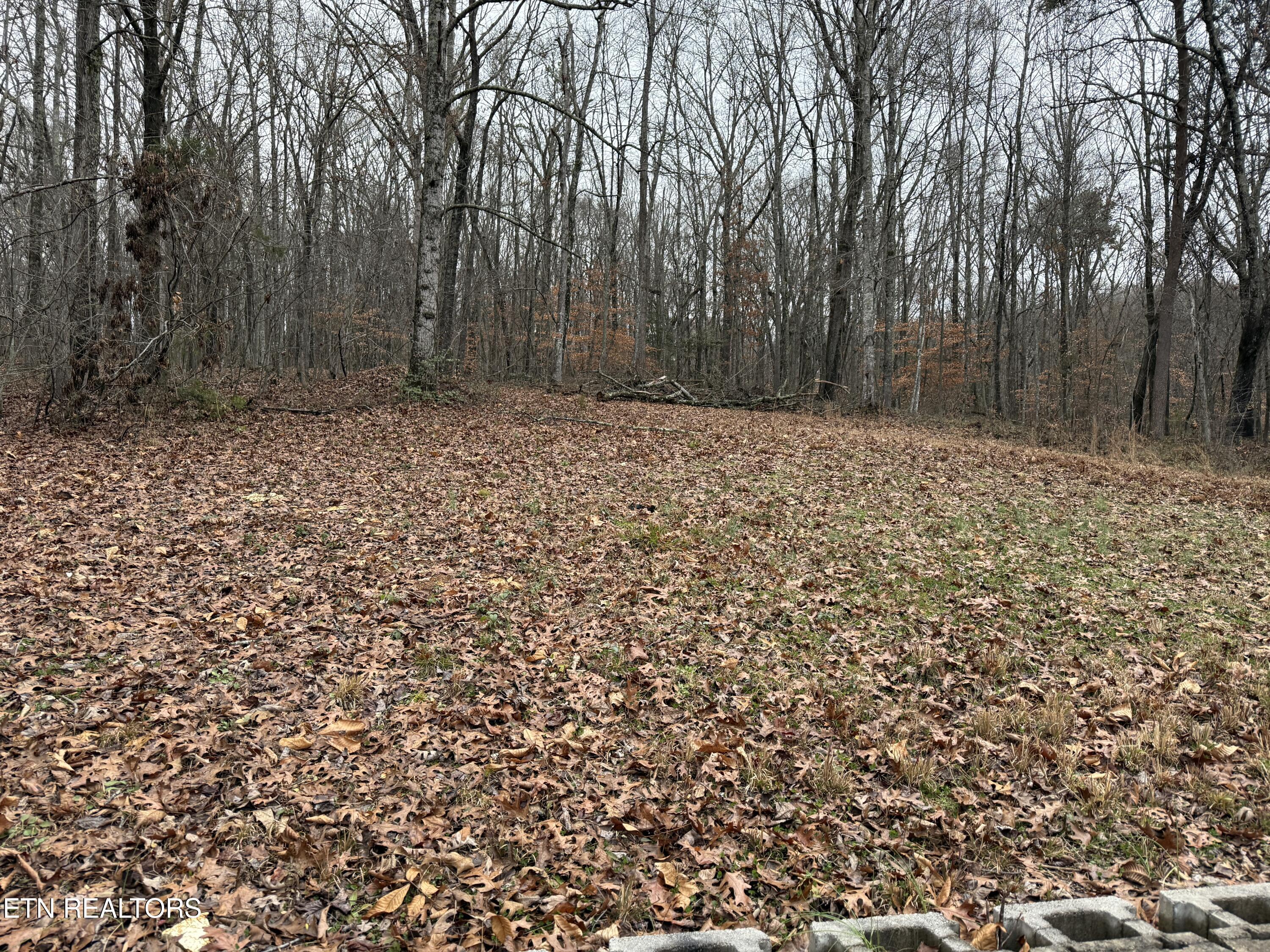 522 College Grove Road Rockwood TN 37854