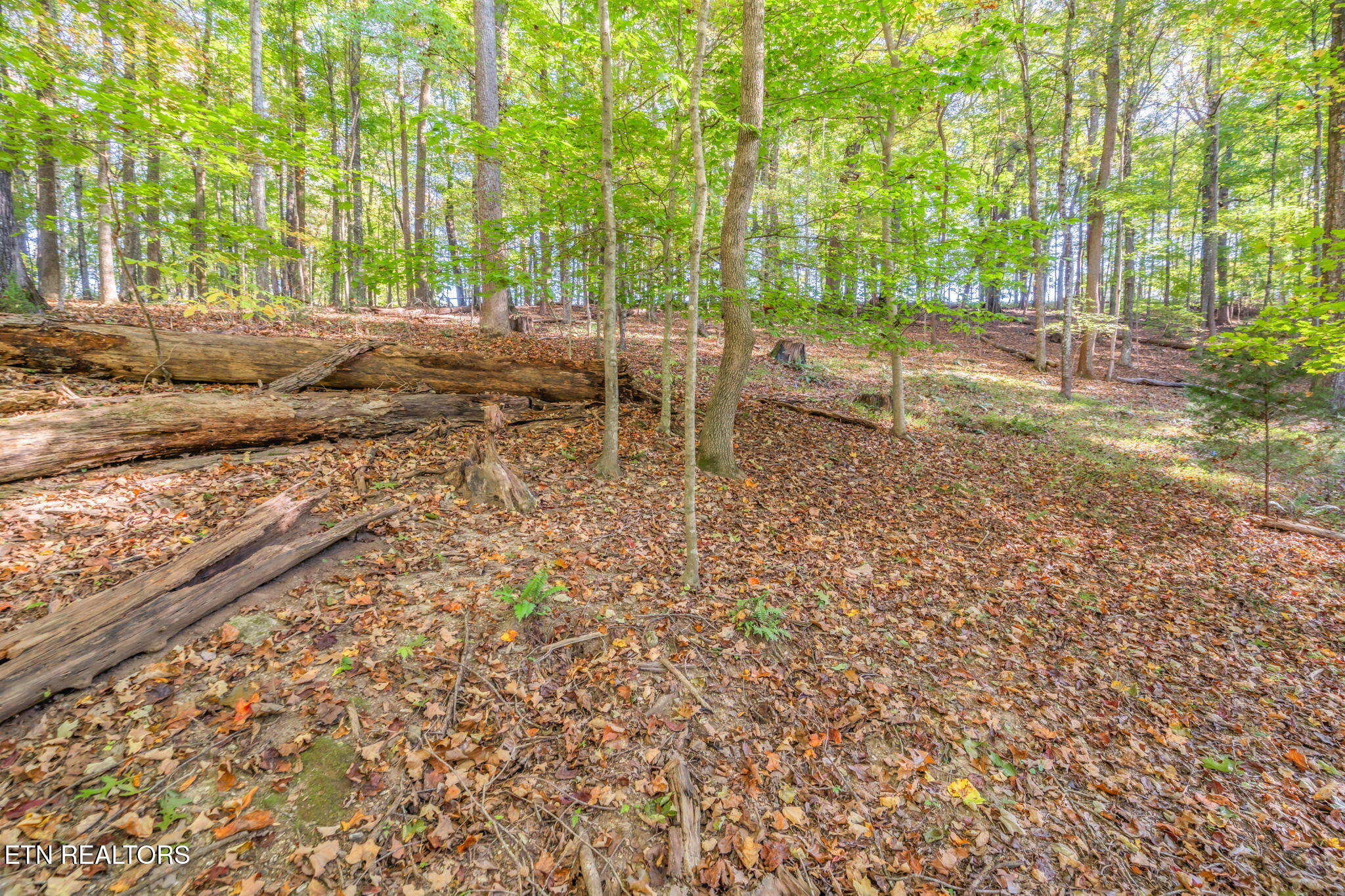 340 Duncan Lane Andersonville TN 37705