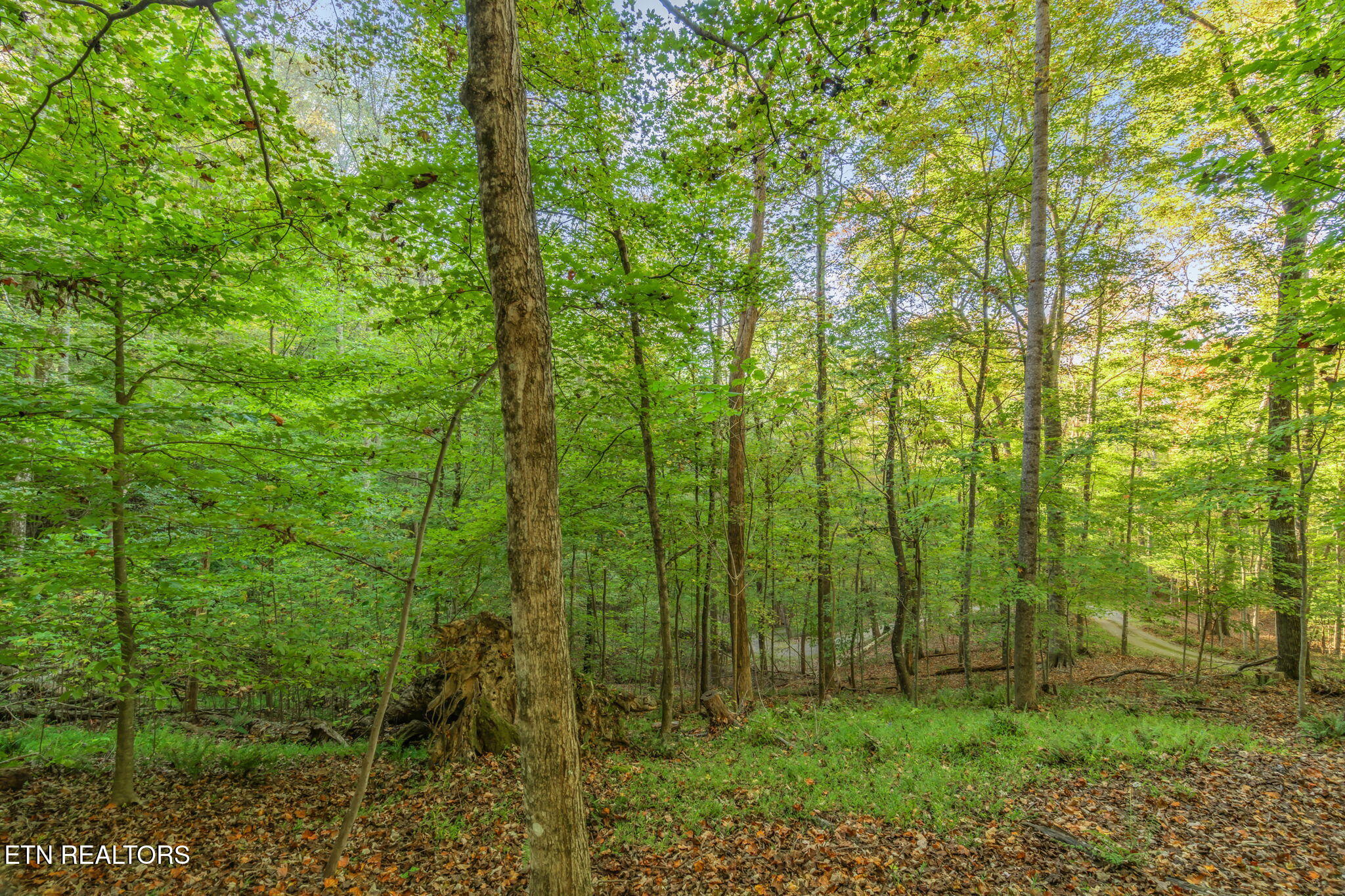 340 Duncan Lane Andersonville TN 37705