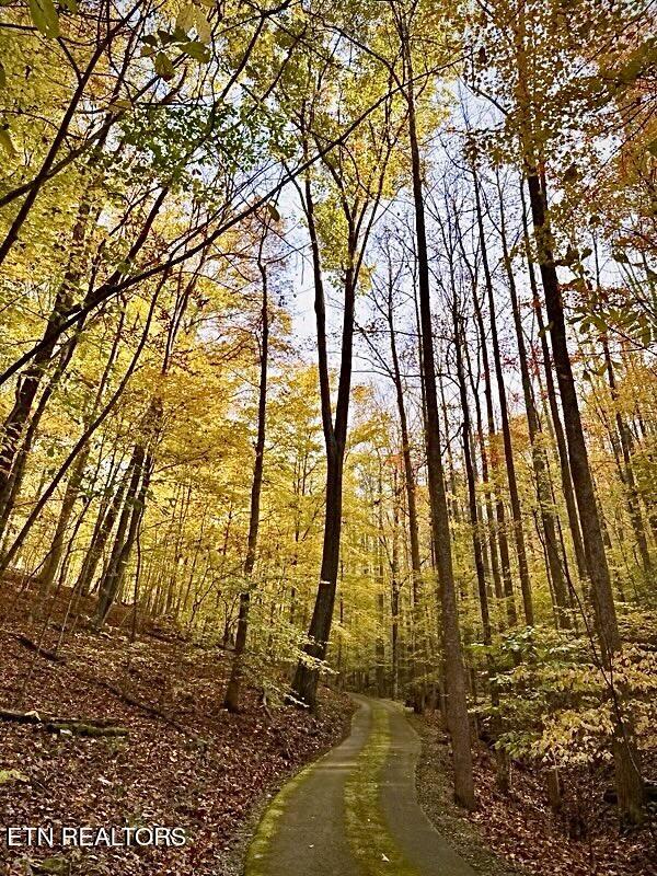 340 Duncan Lane Andersonville TN 37705