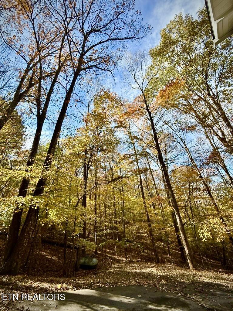 340 Duncan Lane Andersonville TN 37705