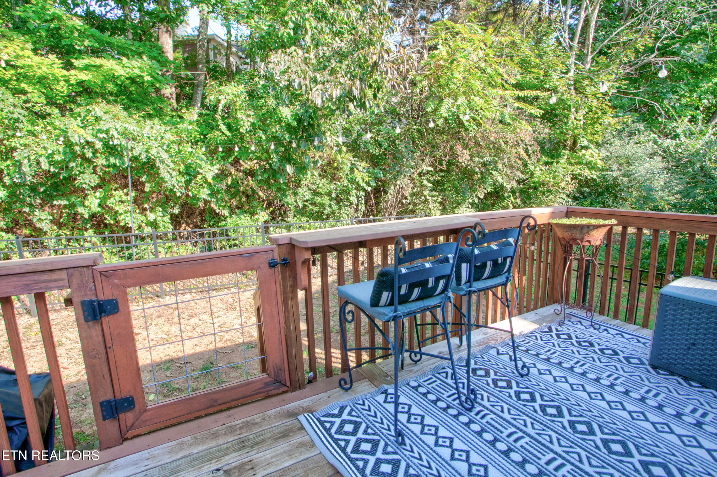 9931 Thunderbolt Way Knoxville TN 37923