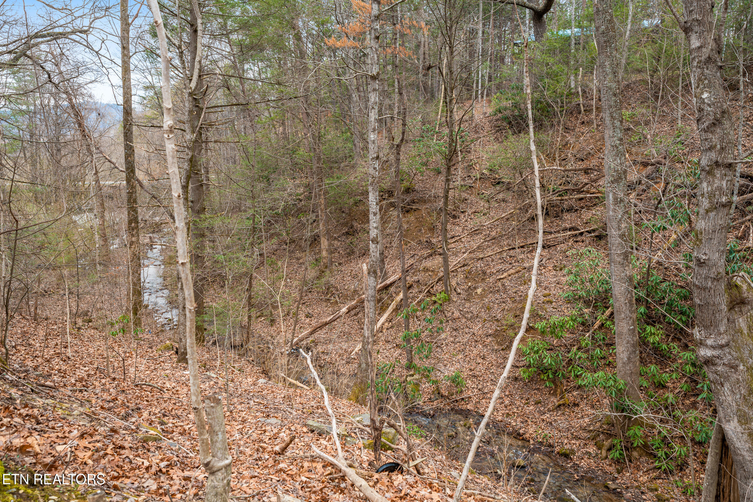 3401 Barber Way Sevierville TN 37862