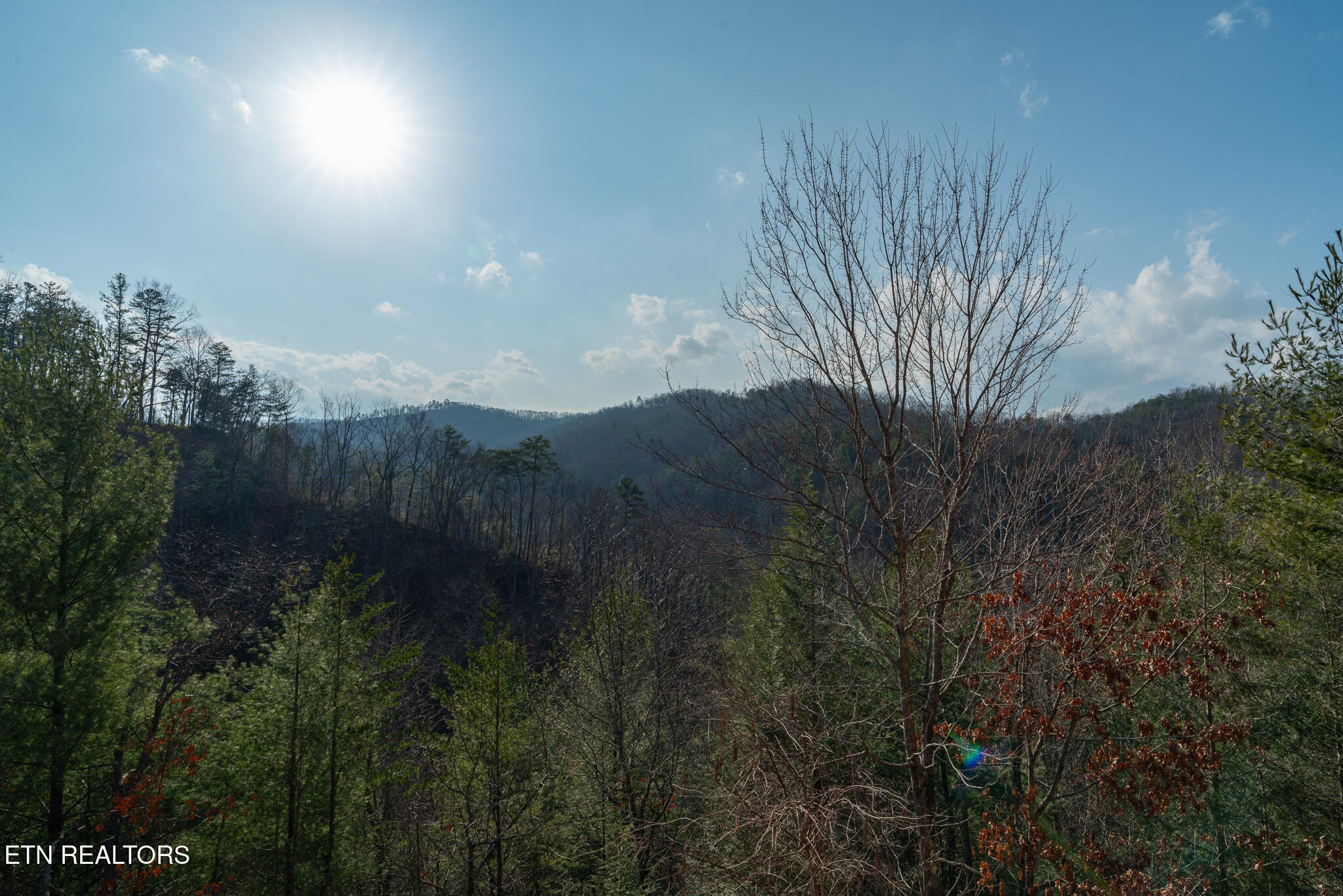 3310 Smoky Ridge Way Sevierville TN 37862