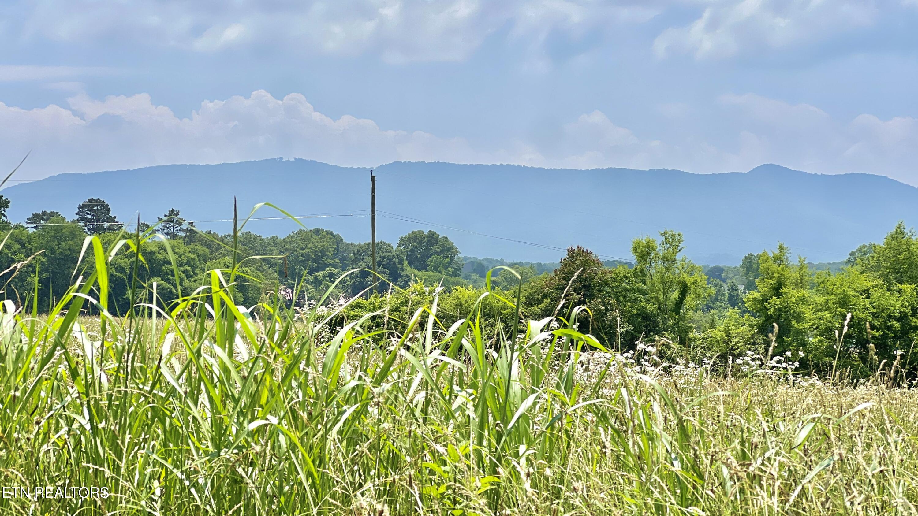 1575 Burnett Station Road Seymour TN 37865