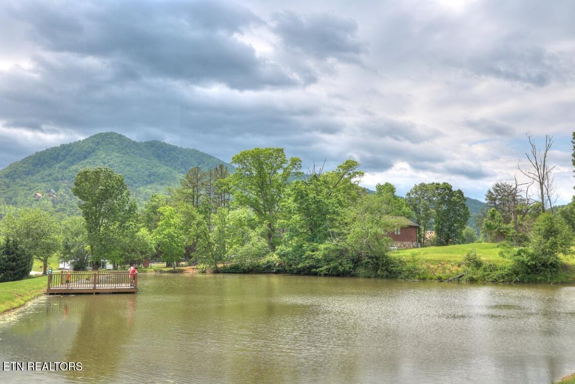 3715 Cinnamon Way Sevierville TN 37862