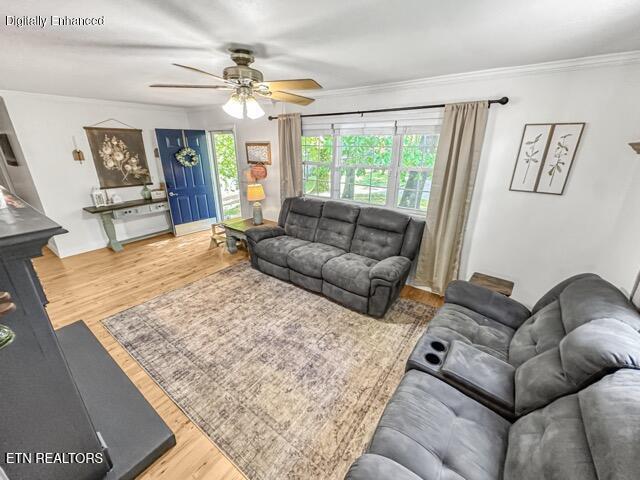 1465 Johnathan Drive Louisville TN 37777