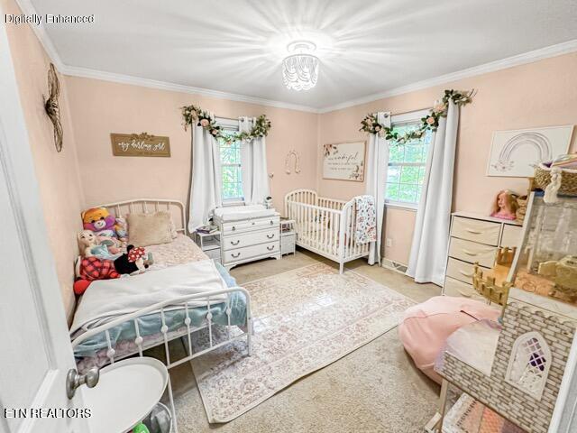 1465 Johnathan Drive Louisville TN 37777
