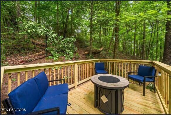 4151 Oak Ridge Street Pigeon Forge TN 37863