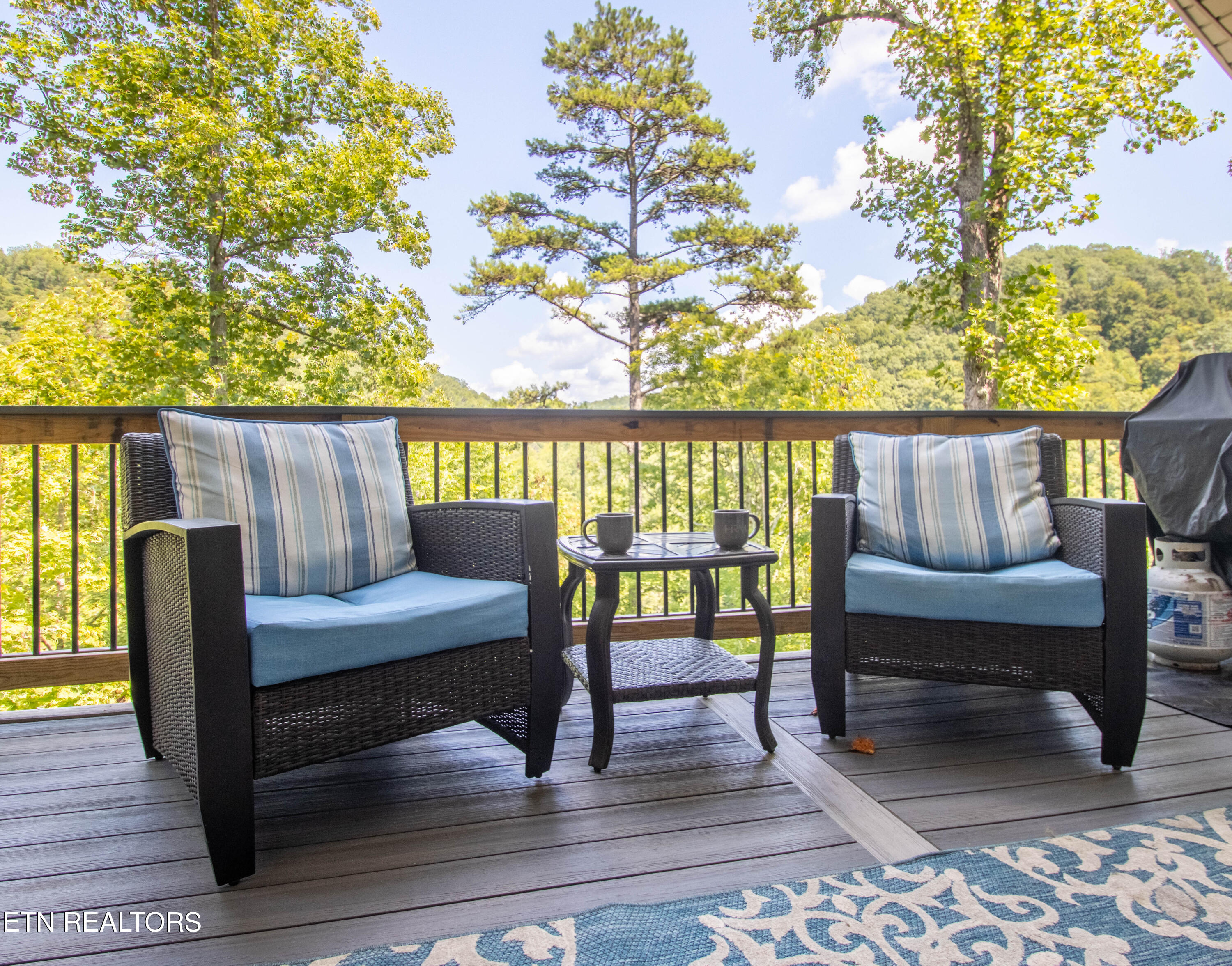 734 Waterfront Trail Lafollette TN 37766