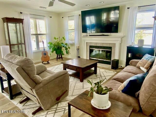 203 Seminole Circle Loudon TN 37774