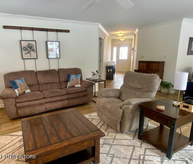 203 Seminole Circle Loudon TN 37774