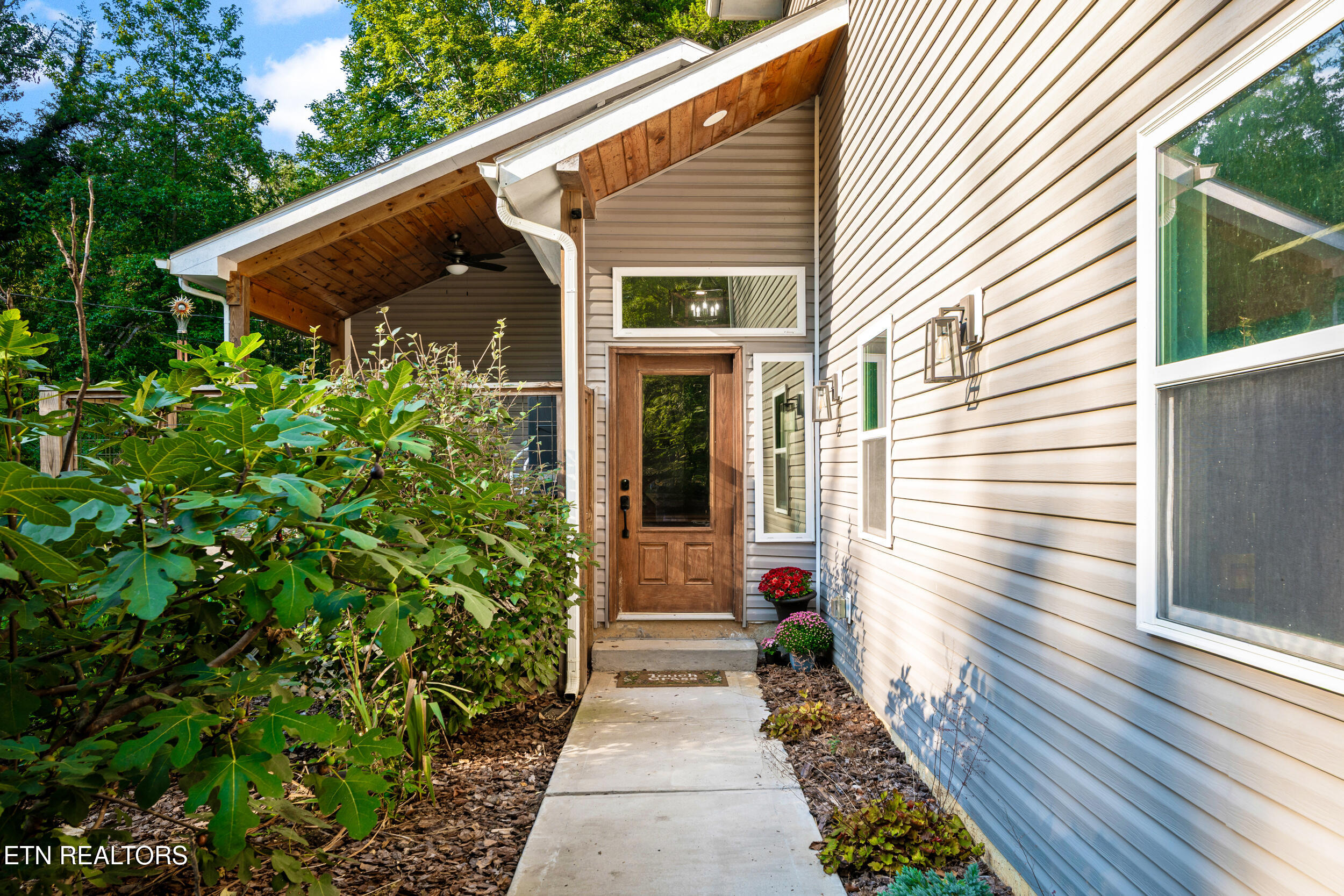 4331 Cabbage Drive Knoxville TN 37938