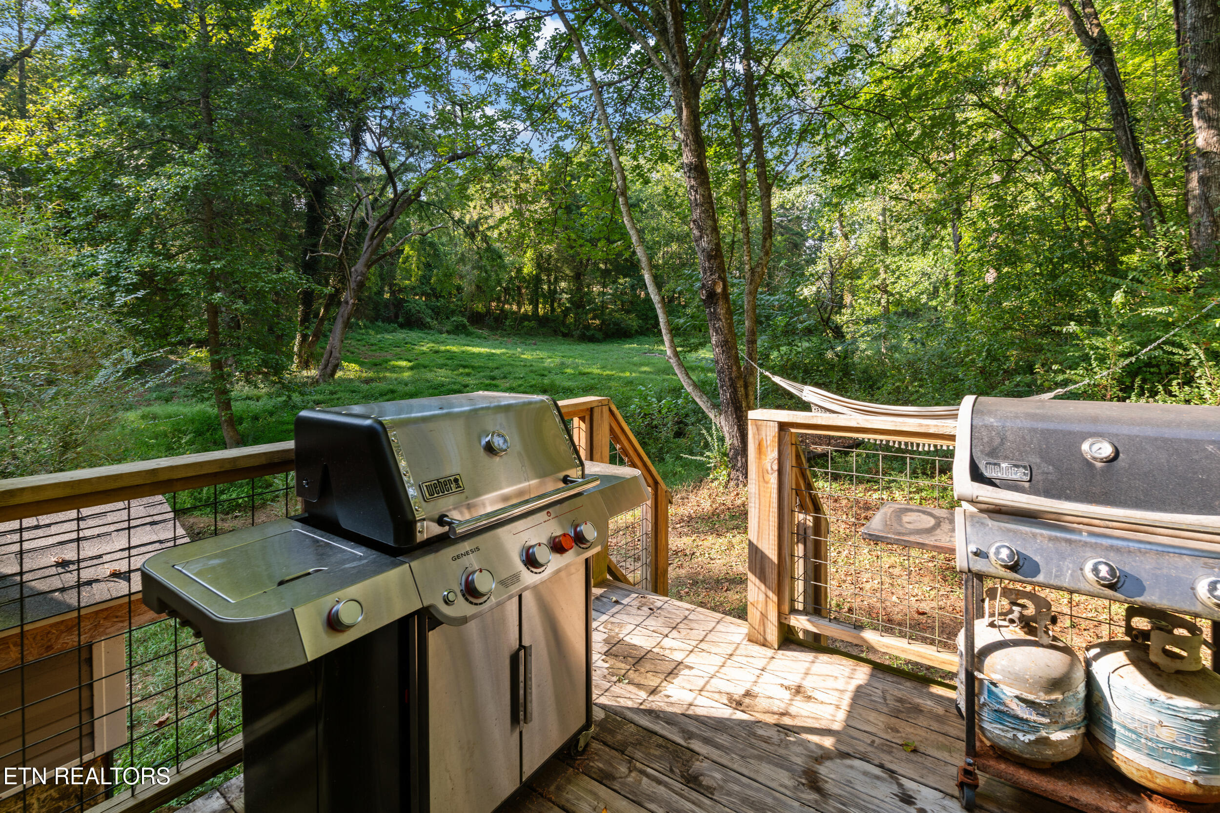 4331 Cabbage Drive Knoxville TN 37938