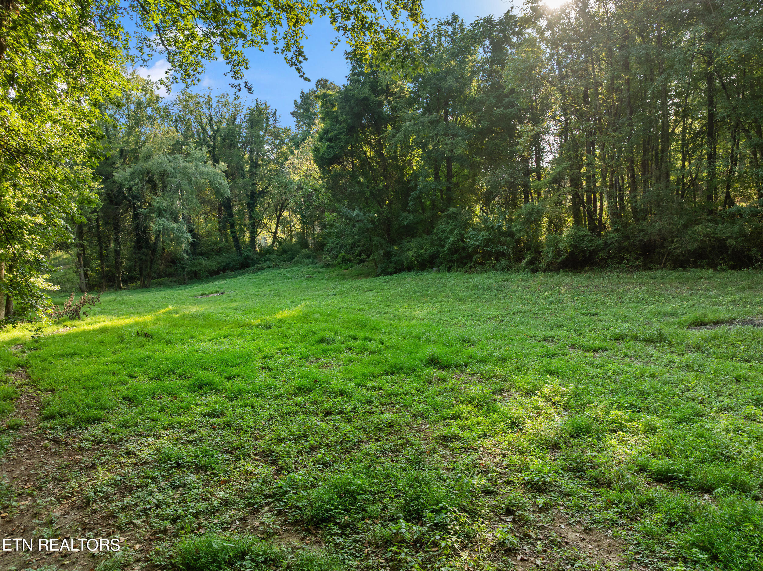 4331 Cabbage Drive Knoxville TN 37938