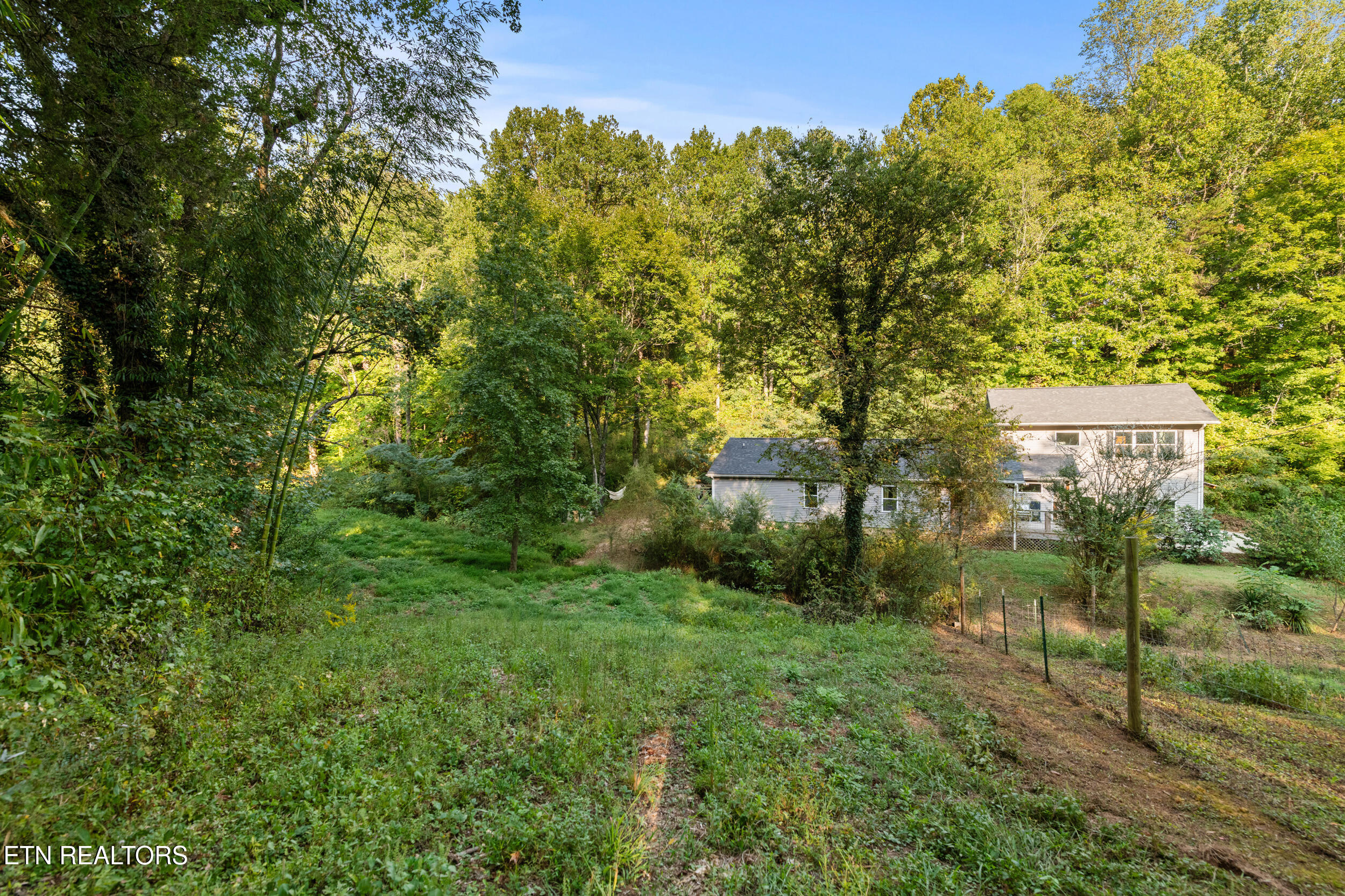 4331 Cabbage Drive Knoxville TN 37938