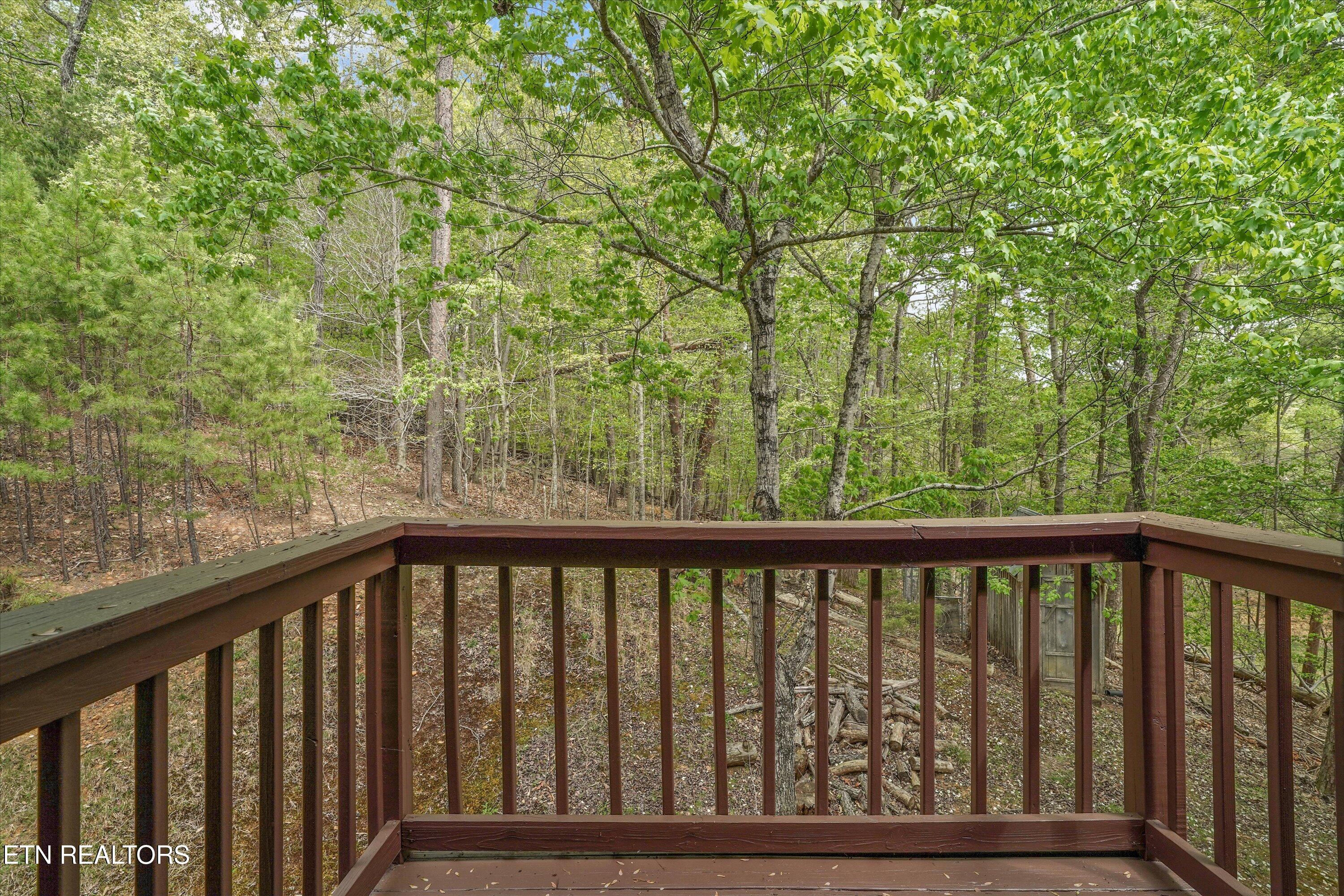 1534 Cherry Brook Drive Dandridge TN 37725