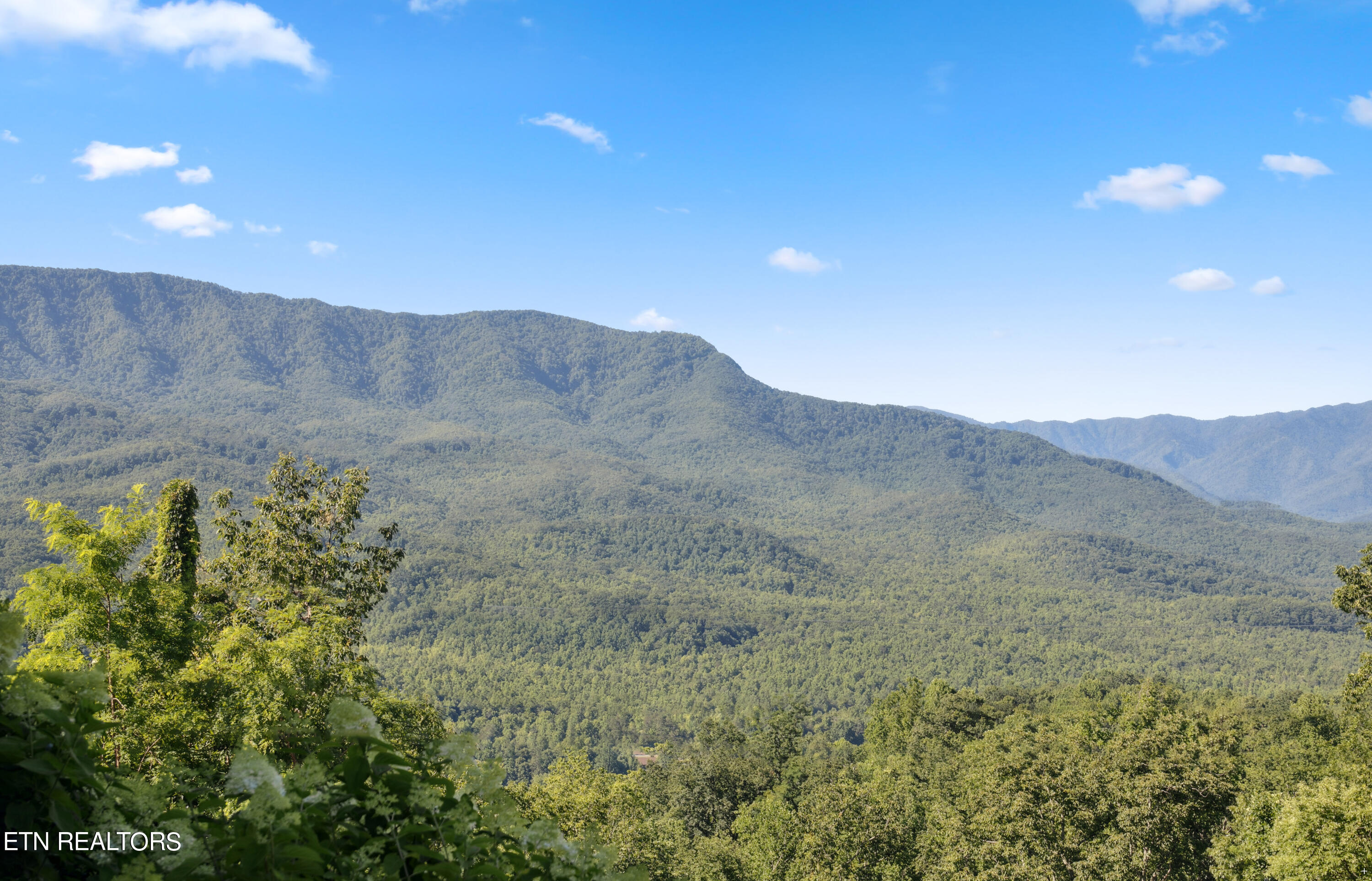 904 Pine Cone Way Gatlinburg TN 37738