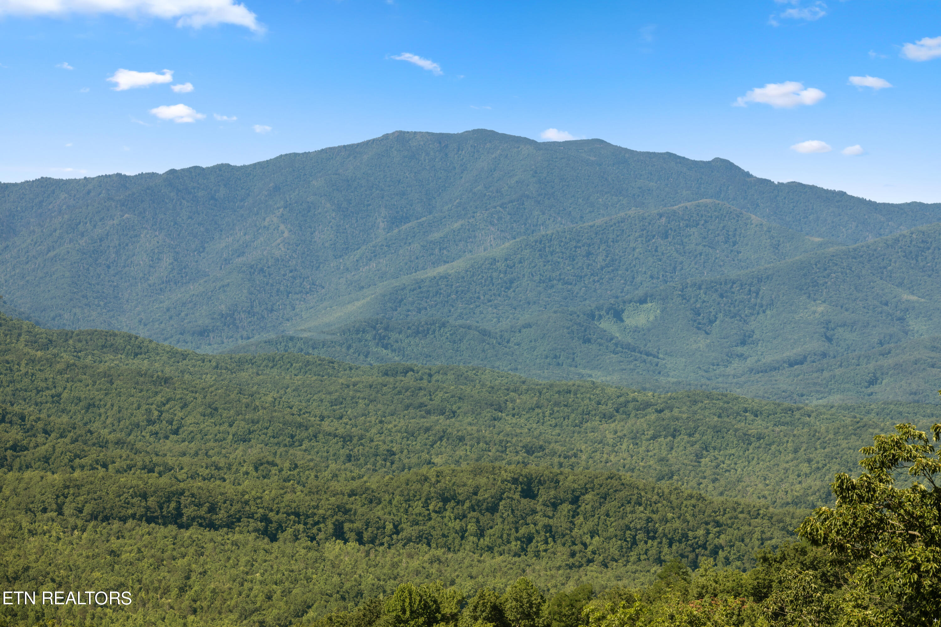 904 Pine Cone Way Gatlinburg TN 37738