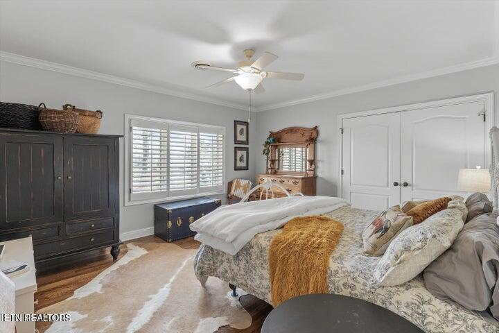 3509 Blow Drive Knoxville TN 37920