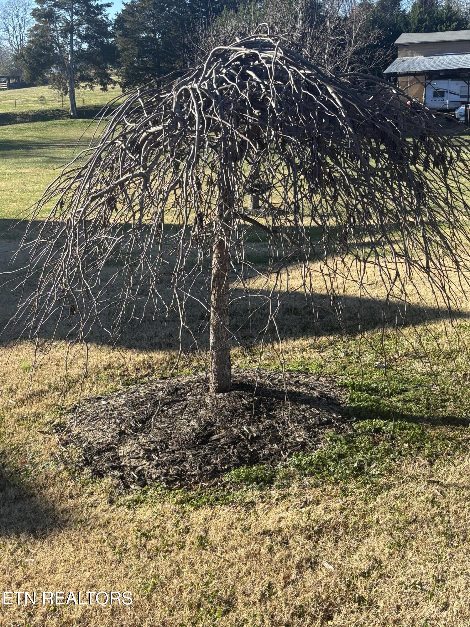 1117 Chesty Puller Circle Maryville TN 37803