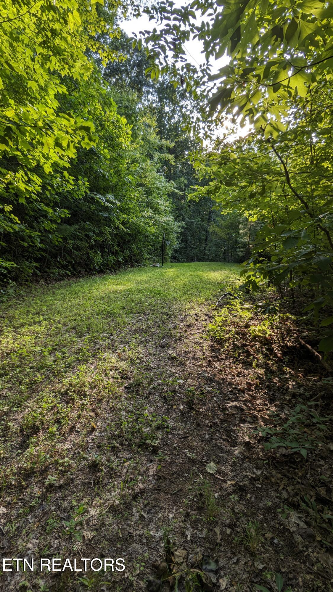 746 John Romines Way Knoxville TN 37918