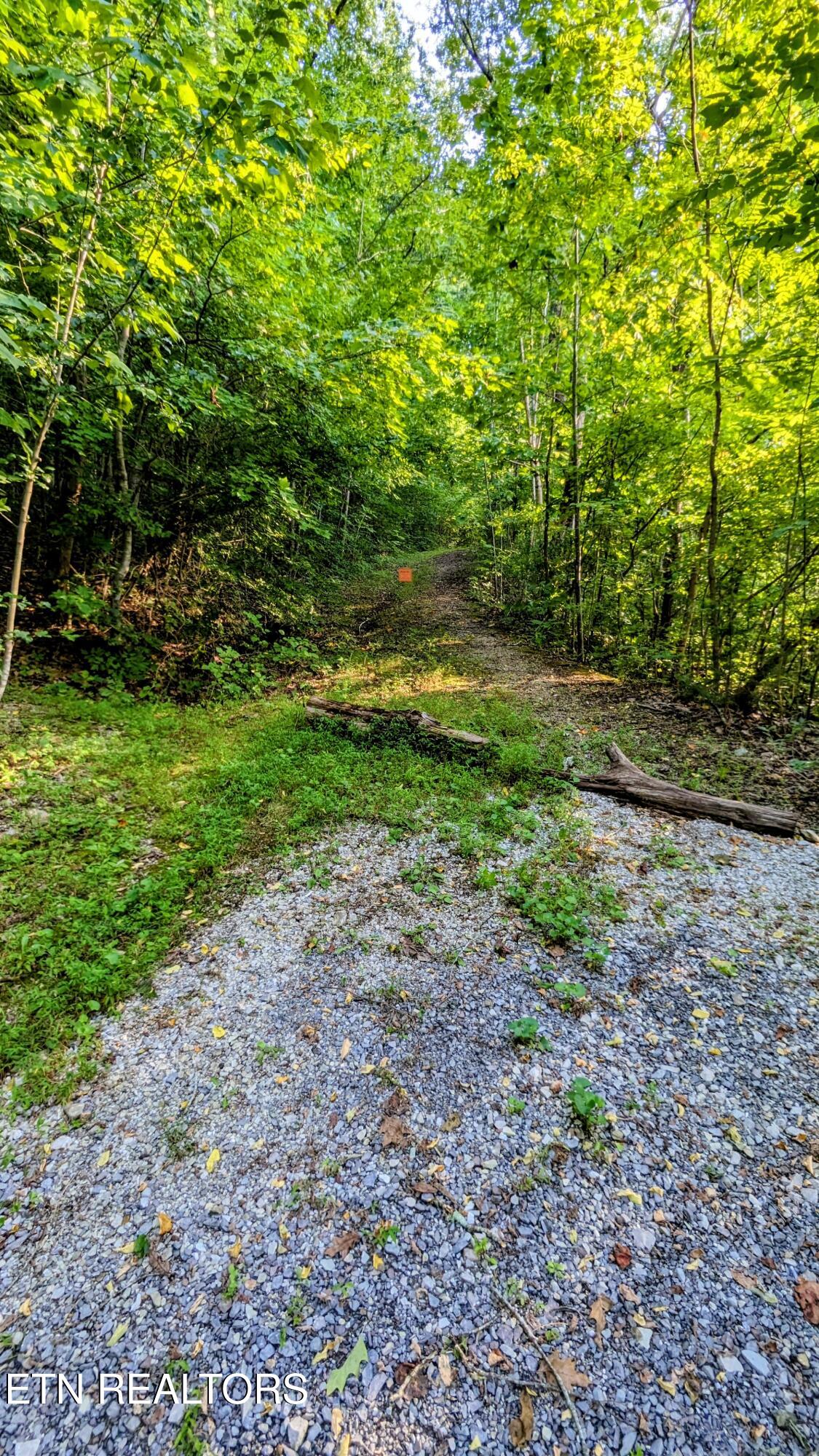 746 John Romines Way Knoxville TN 37918