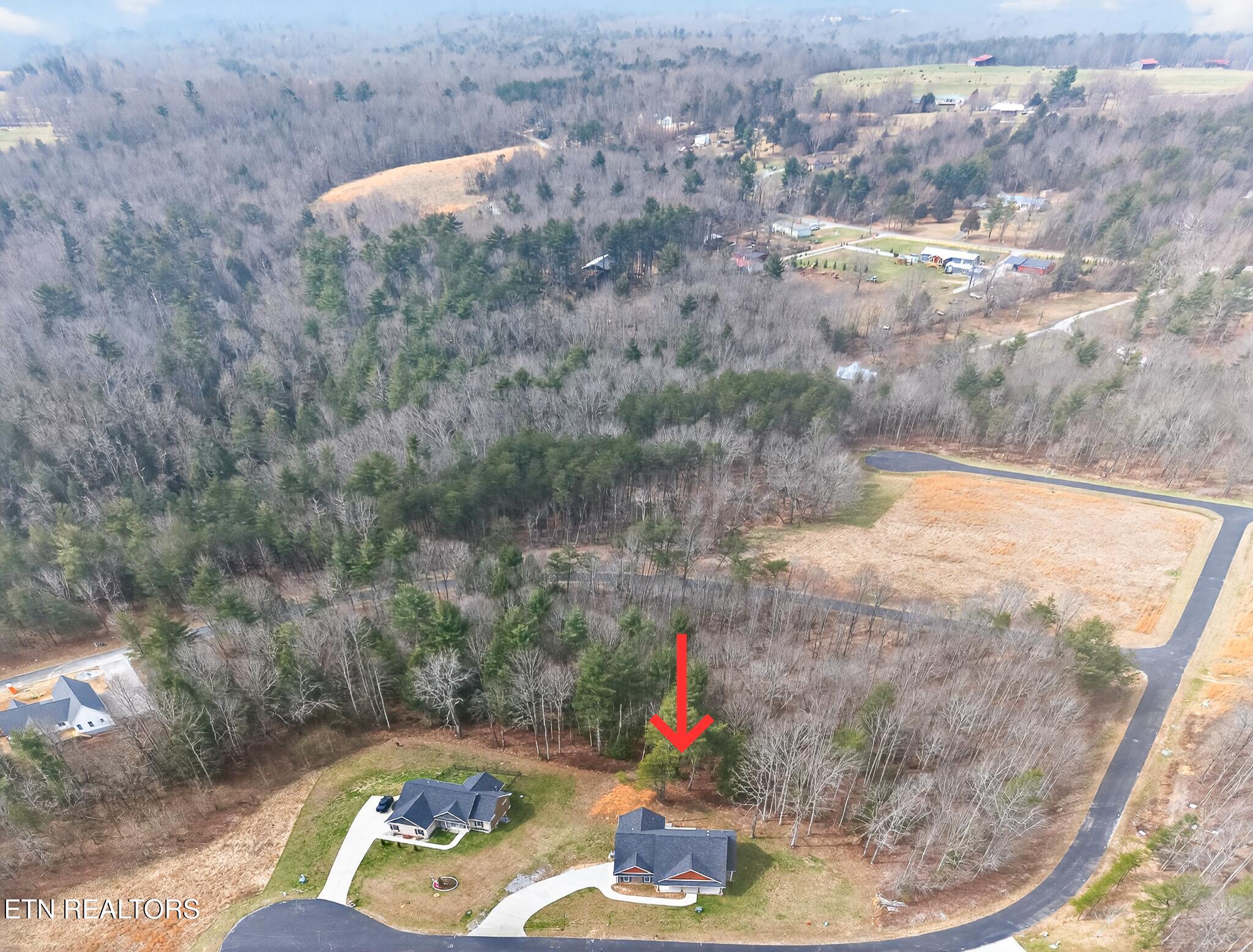 204 Suzie Court Crossville TN 38555