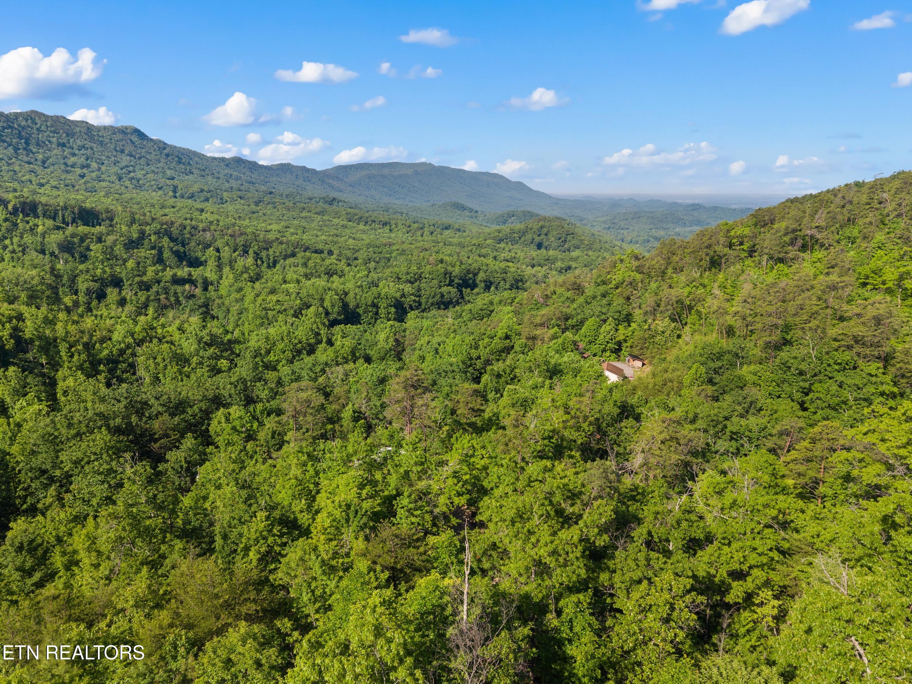 1053 Reagan Springs Road Seymour TN 37865