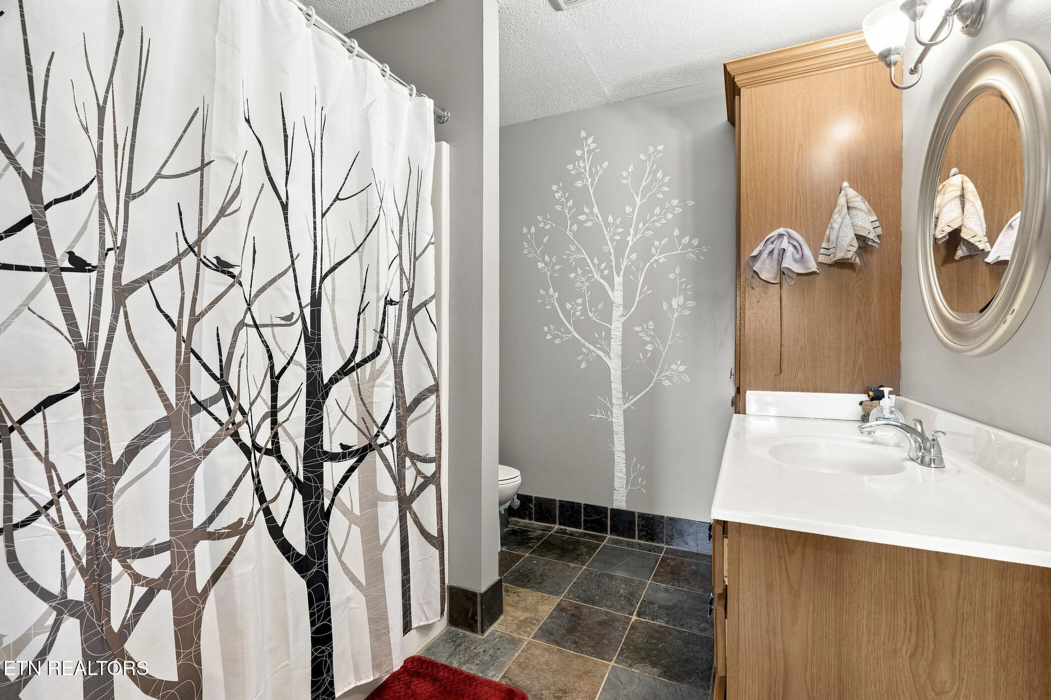 3307 Chinquapin Drive Sevierville TN 37876