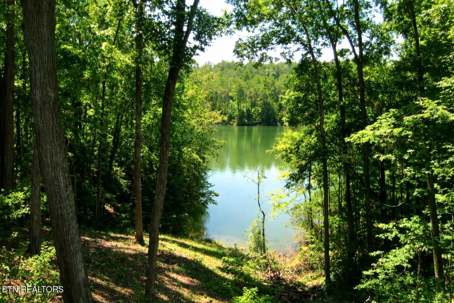 1129 Peninsula Road Sevierville TN 37876