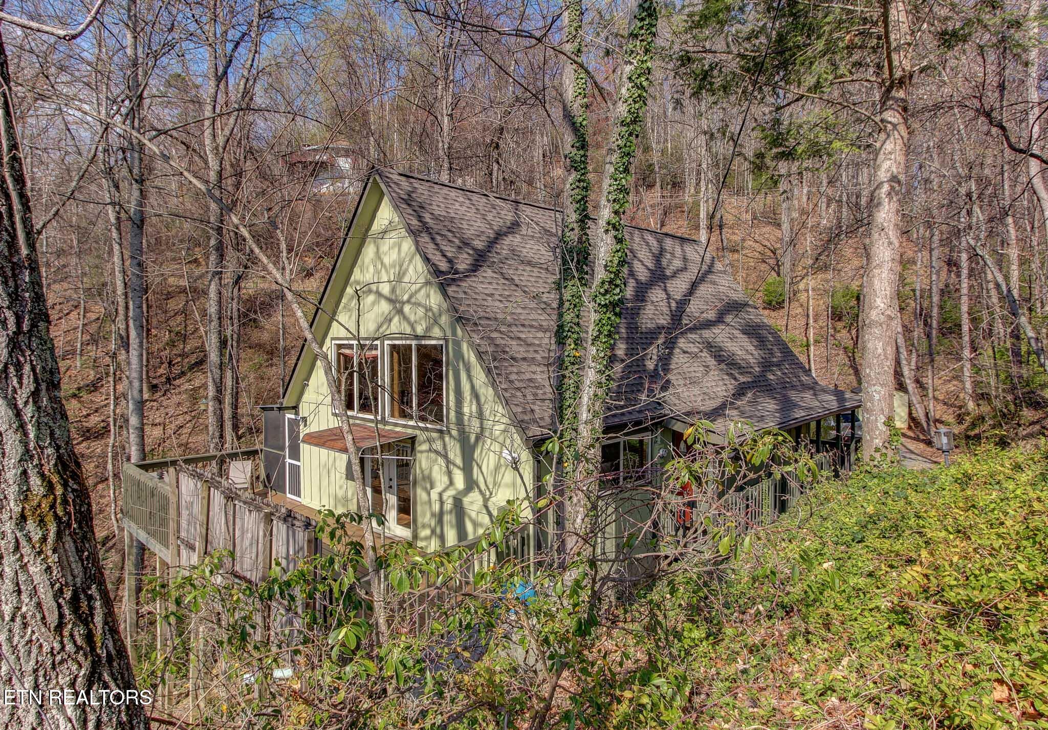 1051 Wiley Oakley Drive Gatlinburg TN 37738